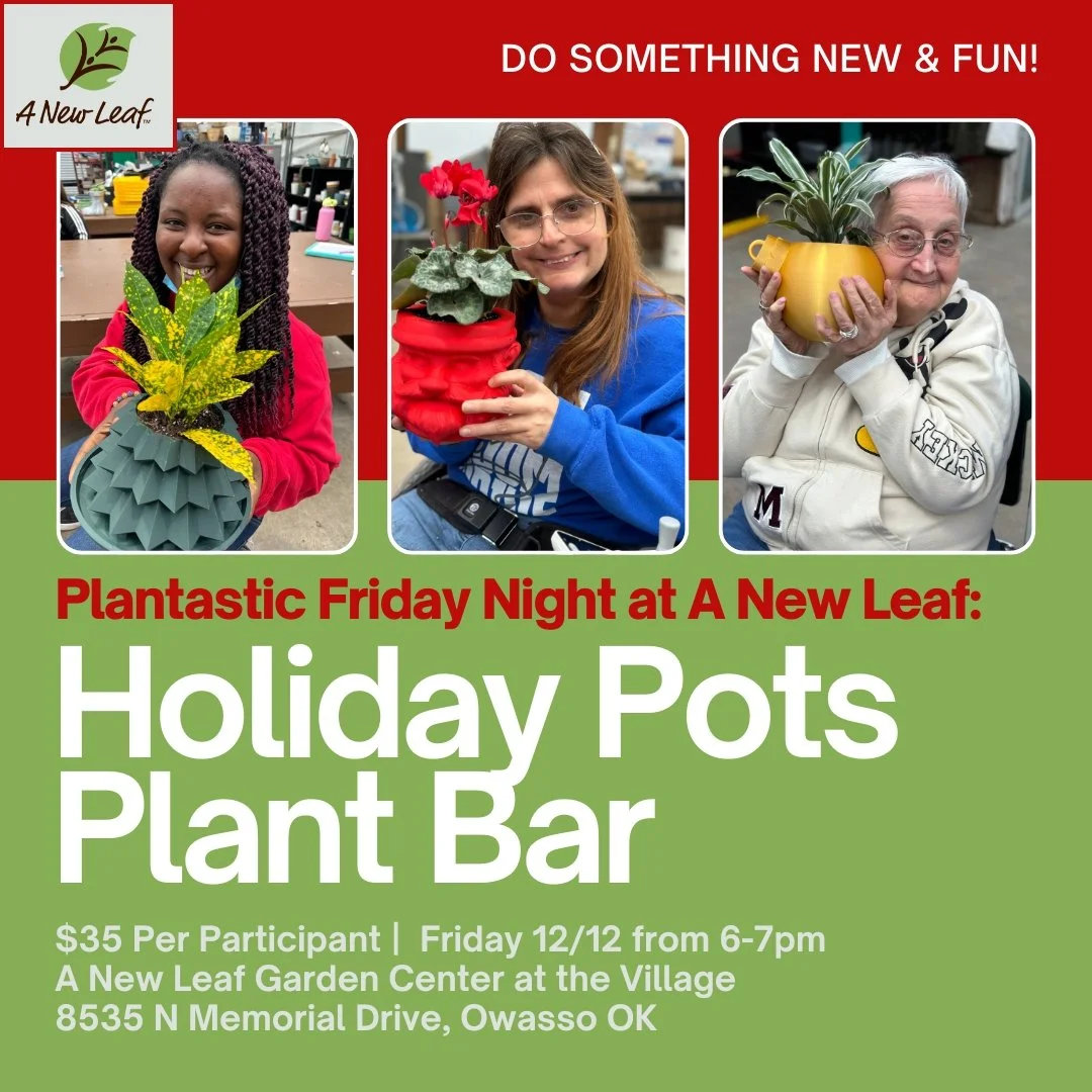 PLANTASTIC PLANT BAR Landing page graphic.jpg