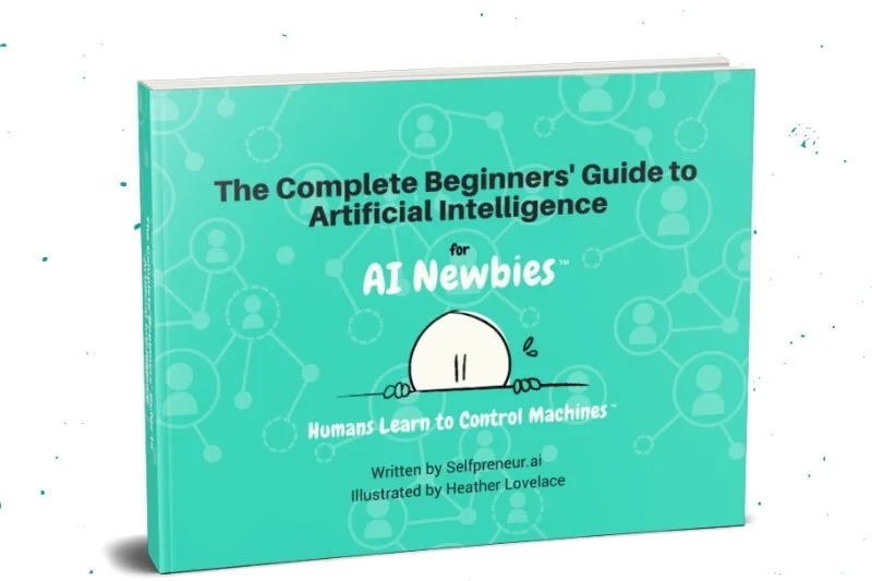 AI Newbies Book Shipping Spring 2020