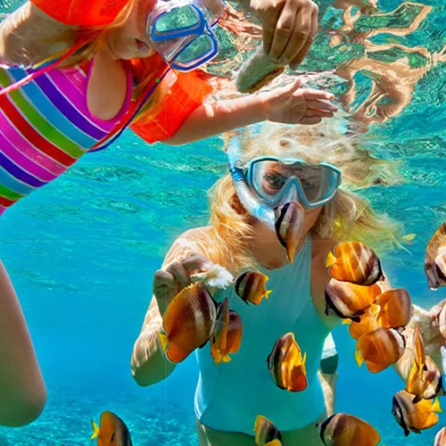 3 Actividades que no podés dejar pasar en tu viaje a Roatán