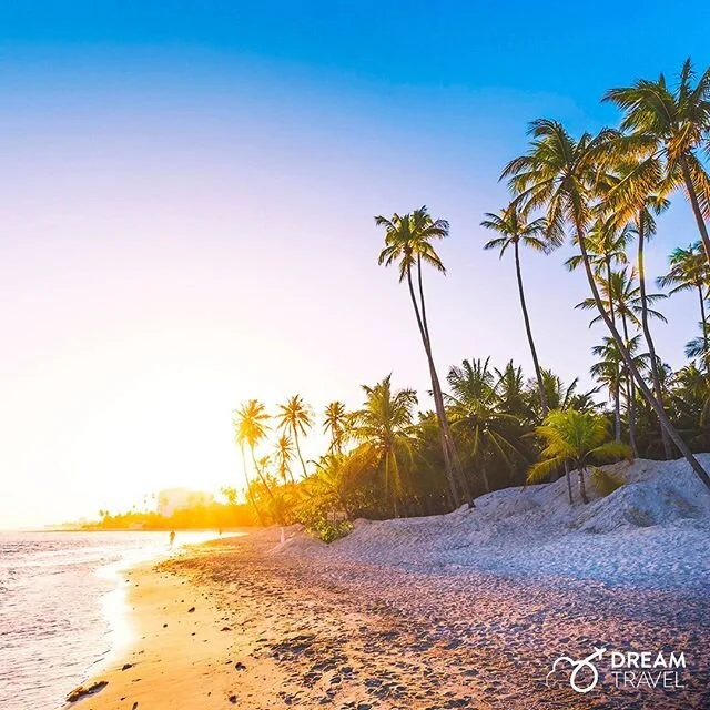 Los atardeceres en la playa 🏖 se viven diferente.😍
-
-
-
#Dream #DreamTravel #DTravel #Travel #TravelGram #BucketList #International #Nature #Vacations #NatureLover #Adventure #TravelAgency #Beach #BeachLover #Honduras