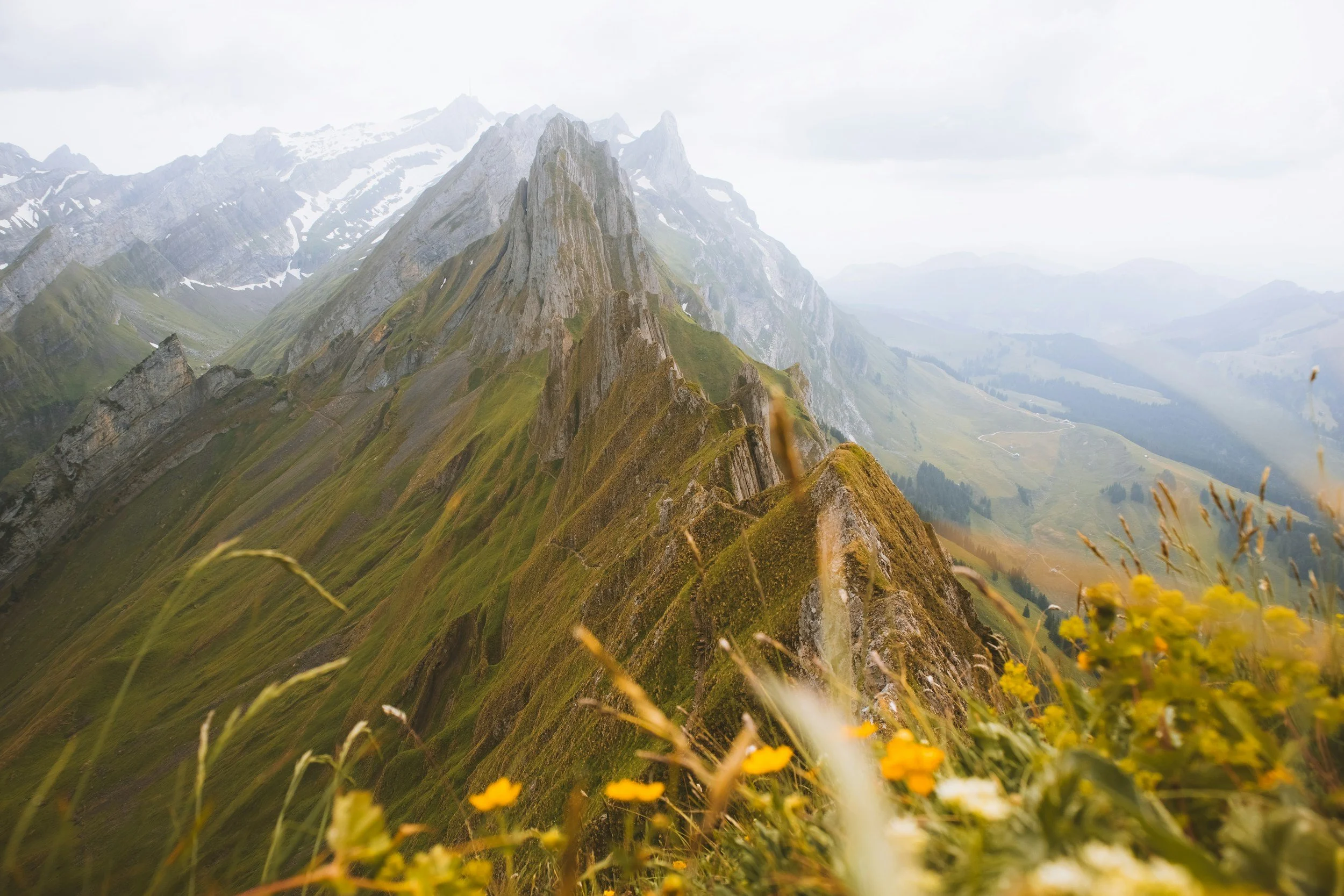 unsplash-image-D2L05AMs0f8.jpg