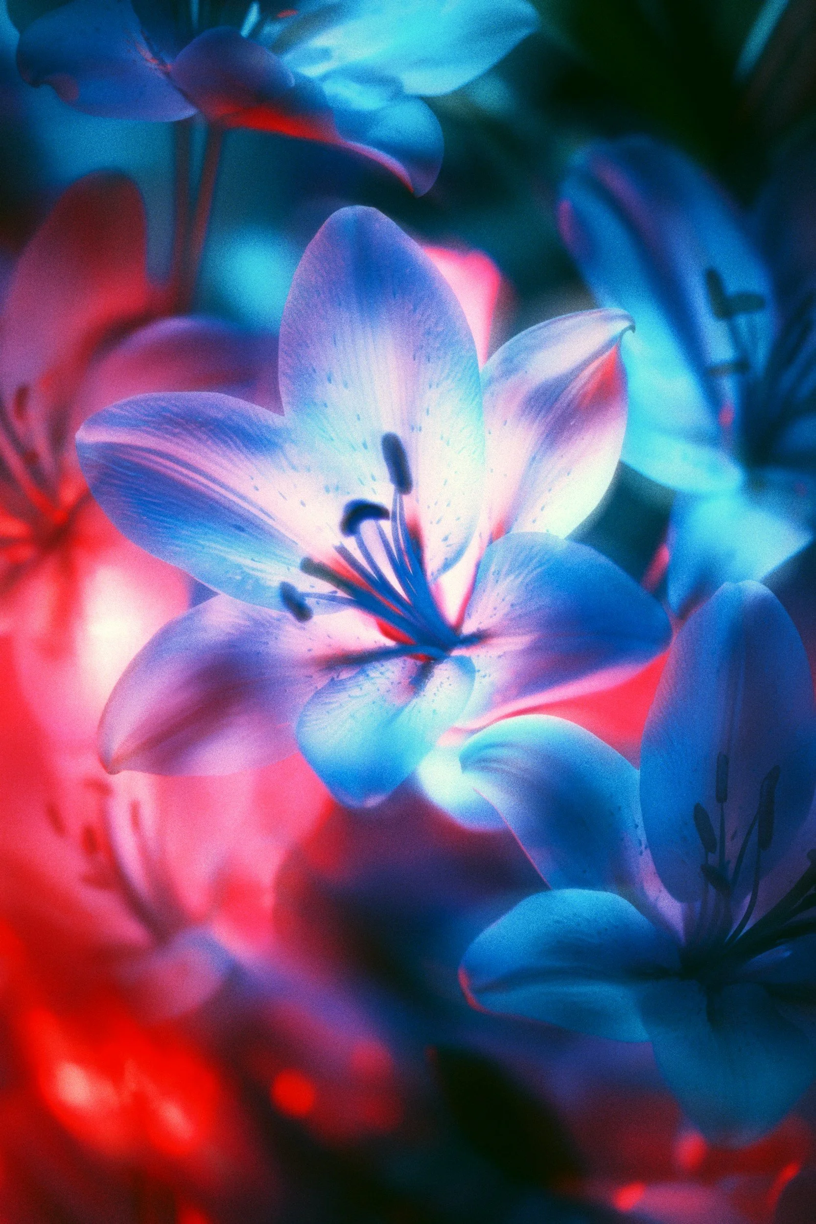 DIVINE SOUL 🦋 “You Been” 🦋