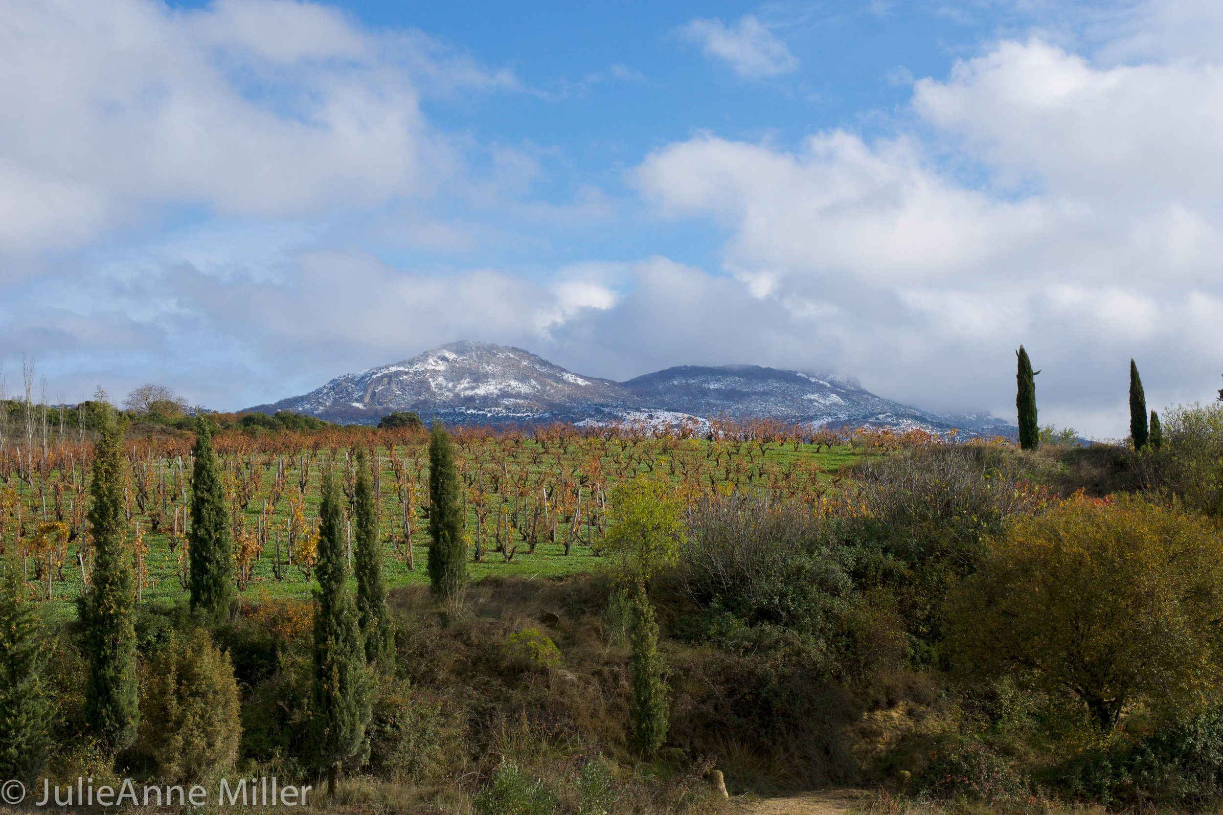 stunning rioja 3.jpg