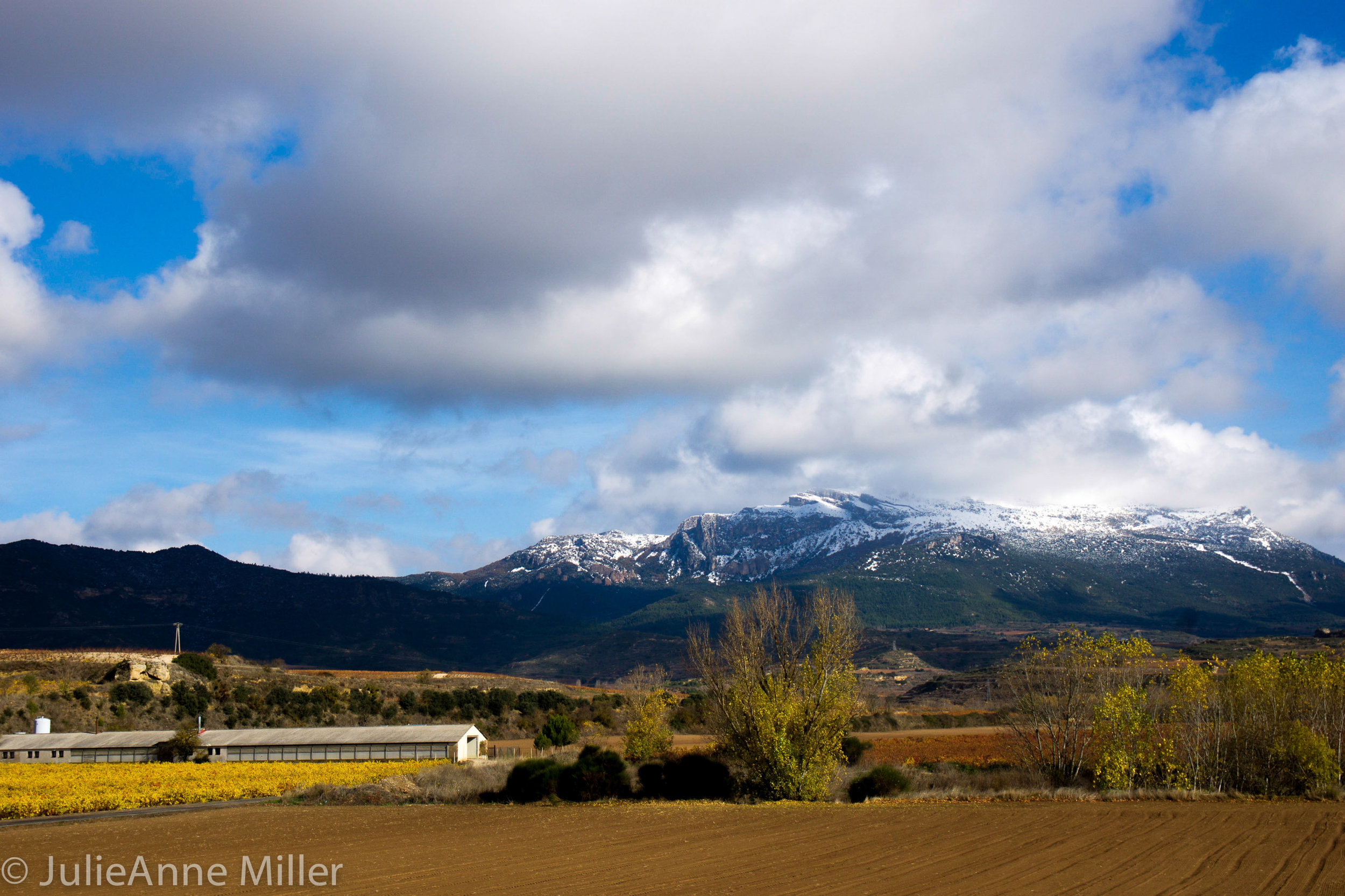 stunning rioja 4.jpg