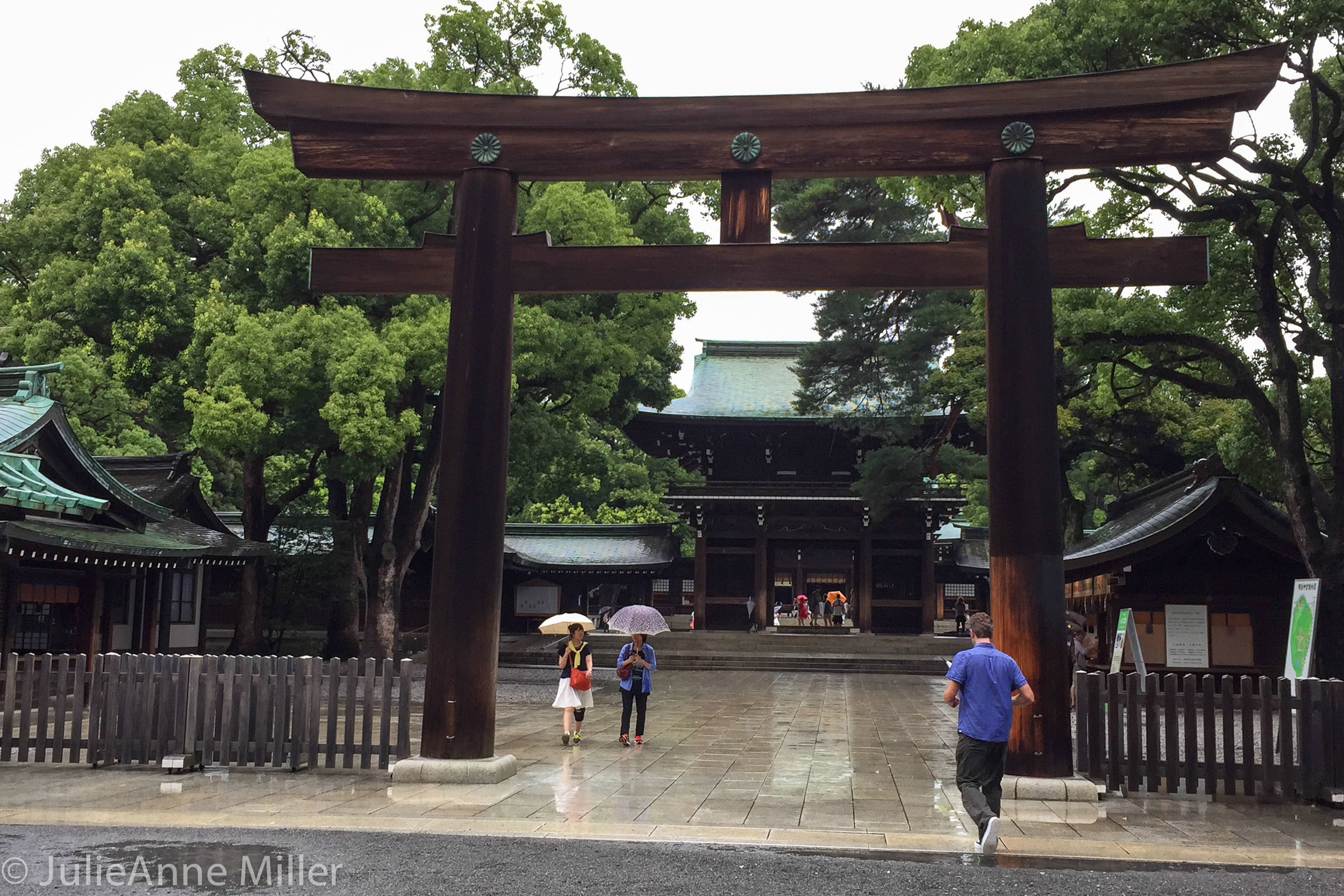  Meiji Jingū (明治神宮) 