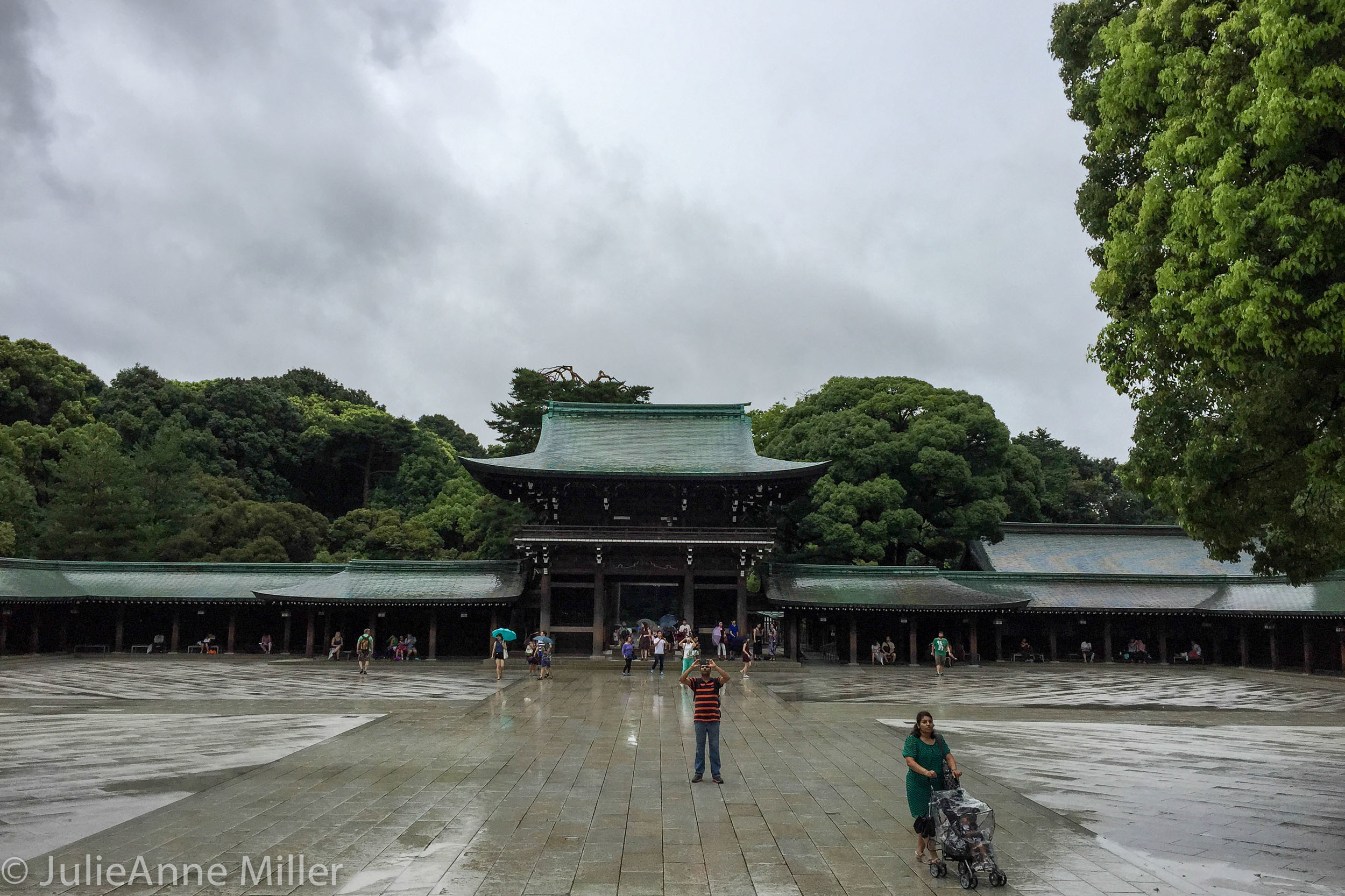  Meiji Jingū (明治神宮) 