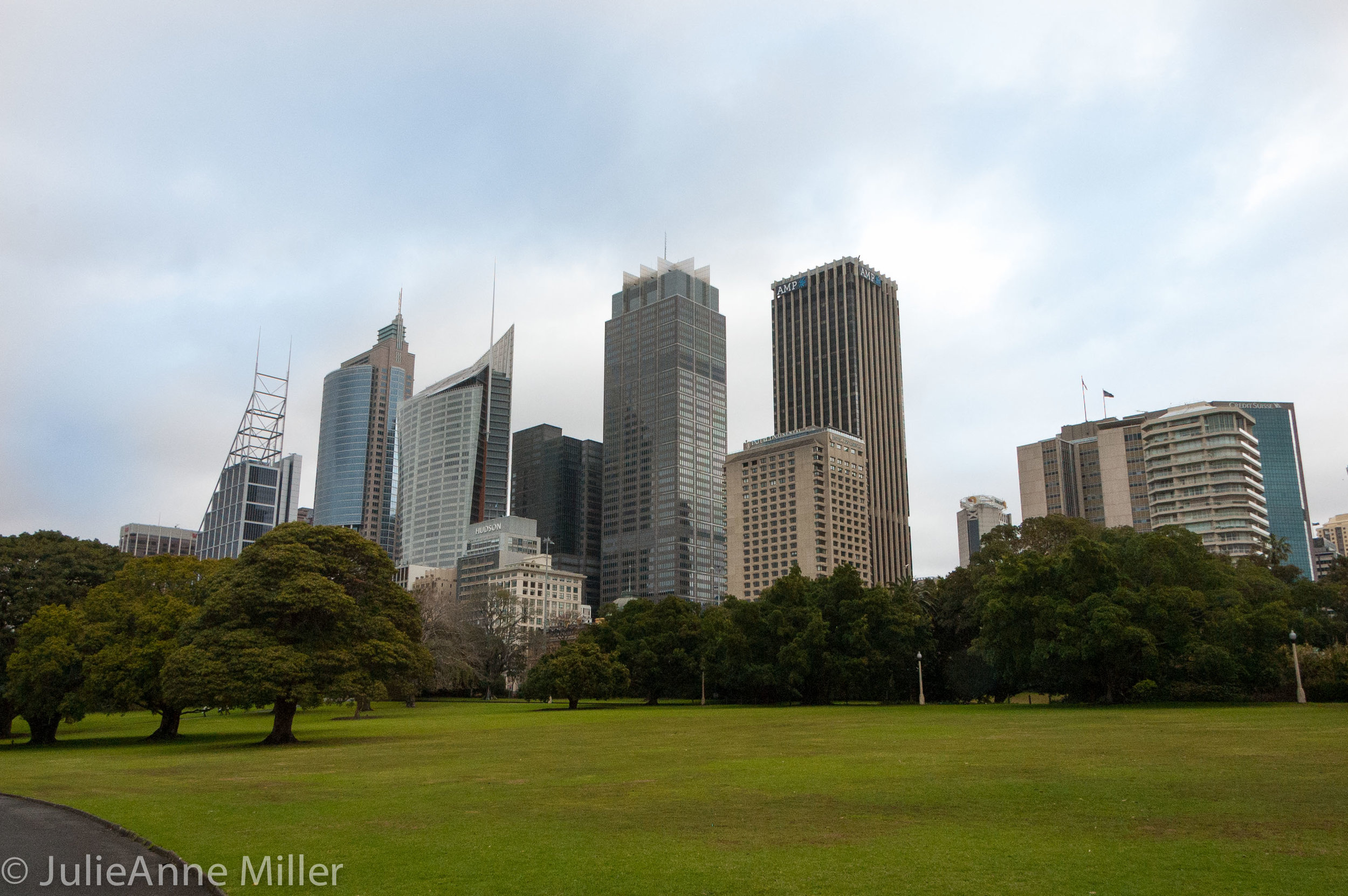 Sydney Botanical Gardens