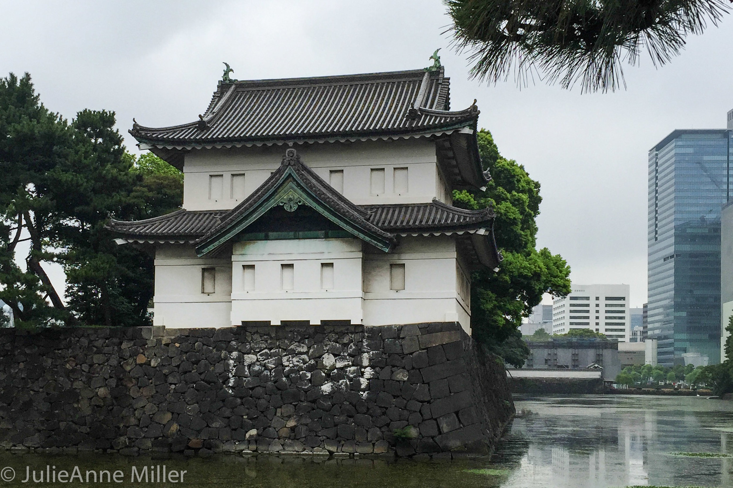 Running At The Imperial Palace Tokyo Travel Is Zen