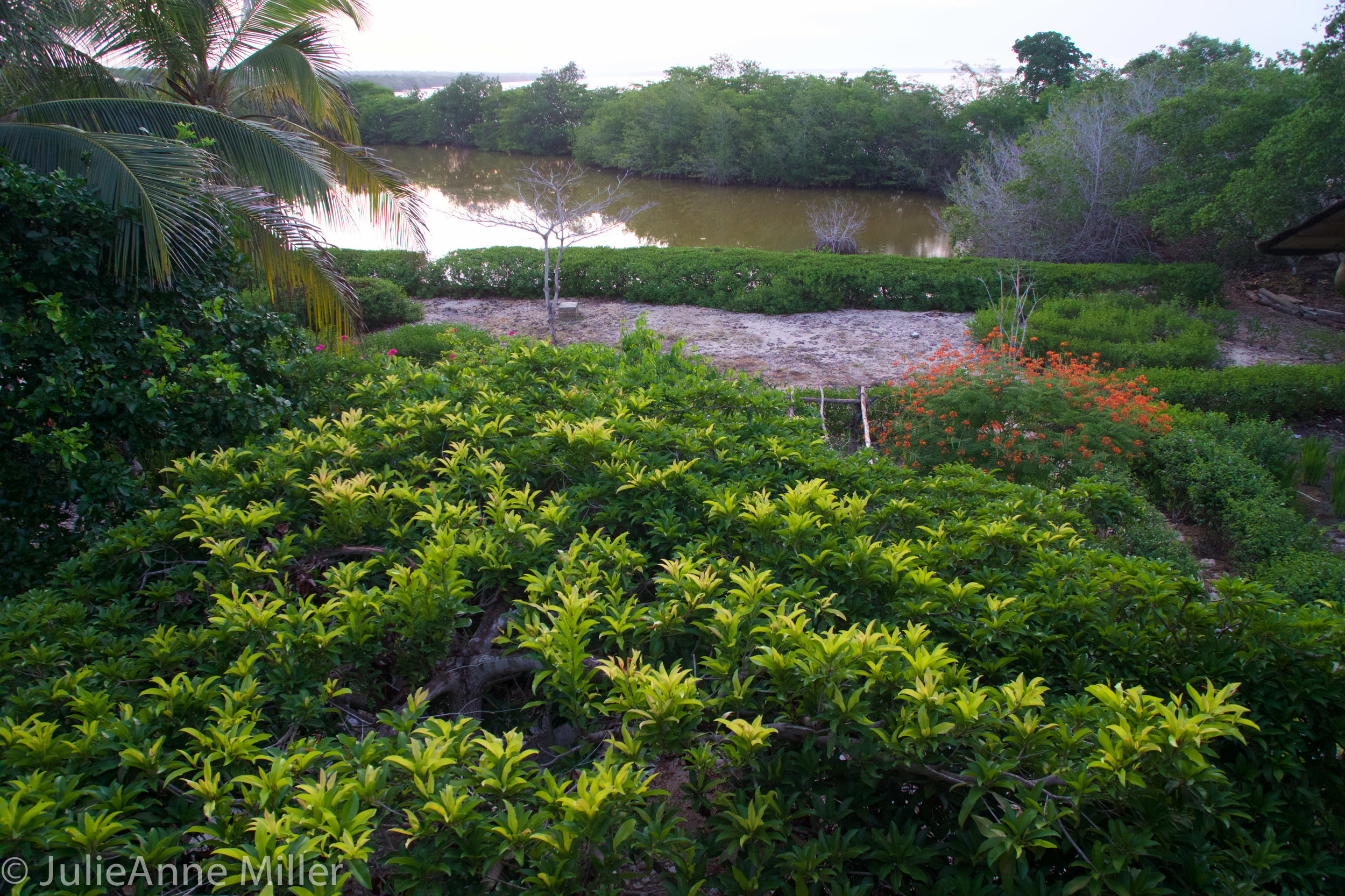 hotel maglares scenery.jpg