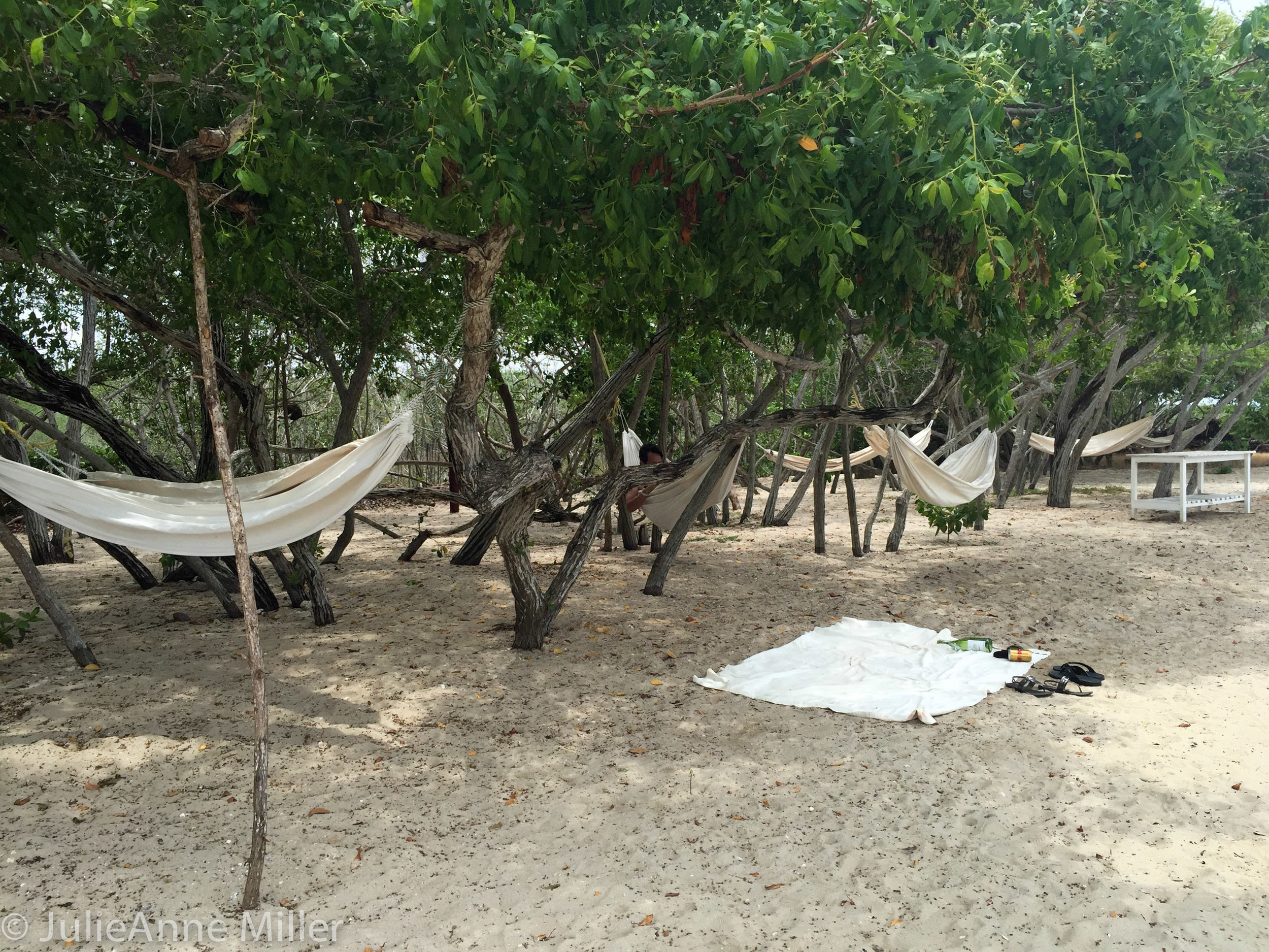 hotel maglares hammocks.jpg