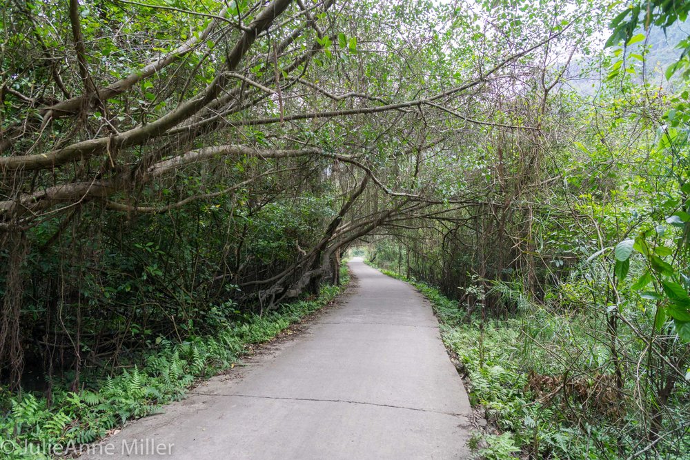 Viet Hai Village Road