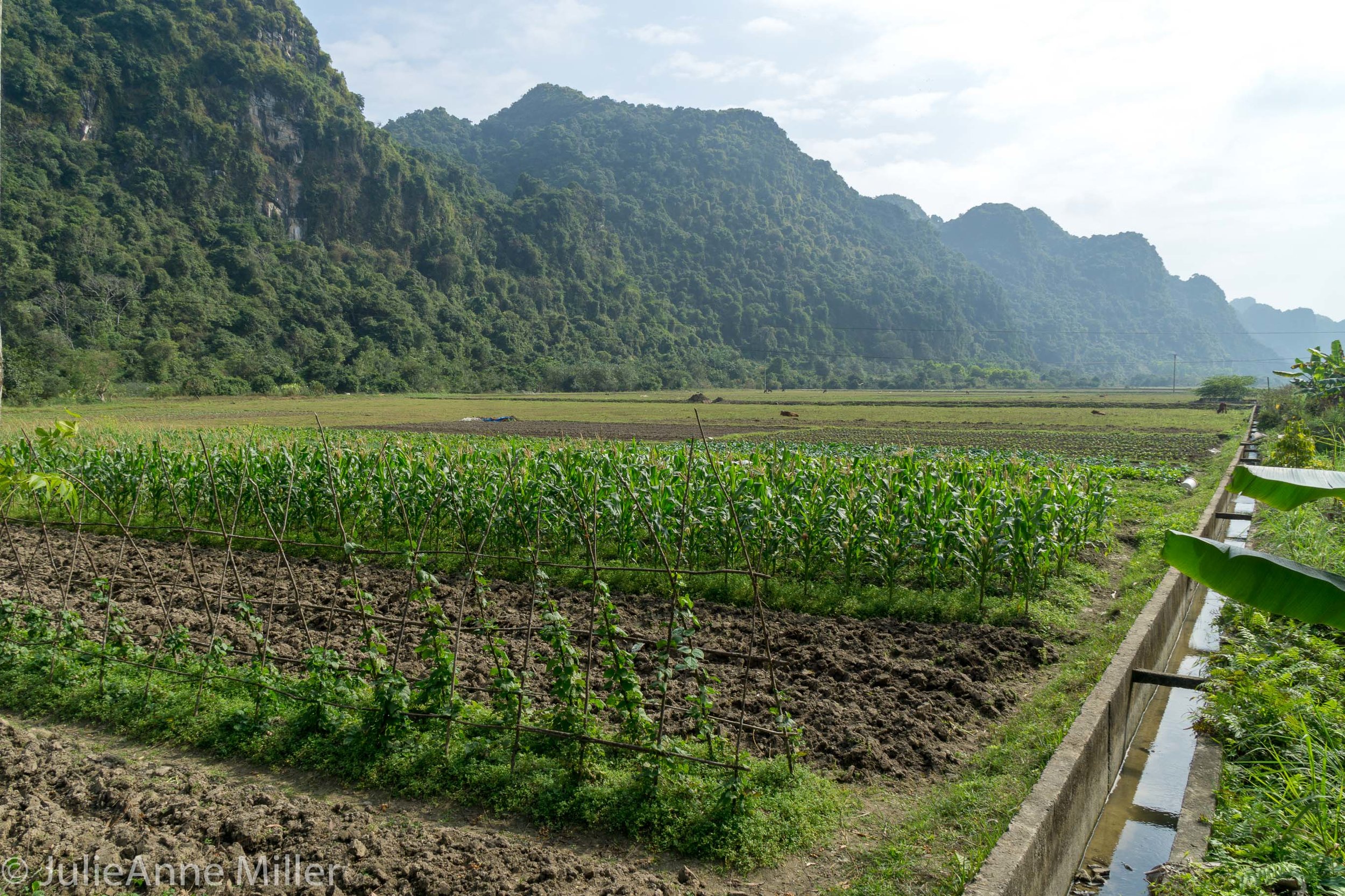 Viet Hai farming commune