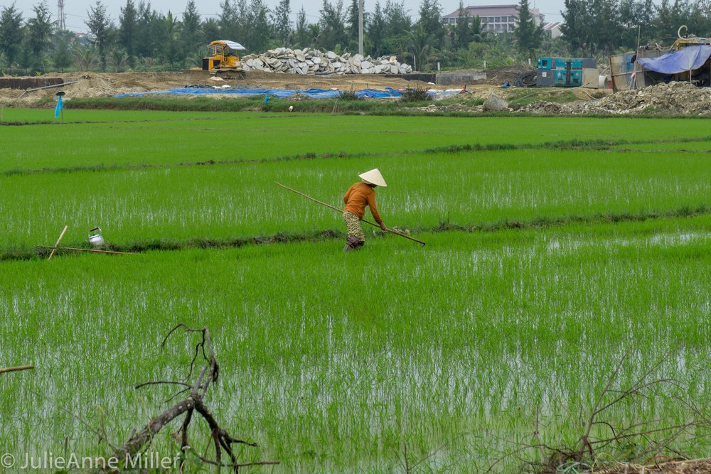 Hoi An Run 3-1.jpg