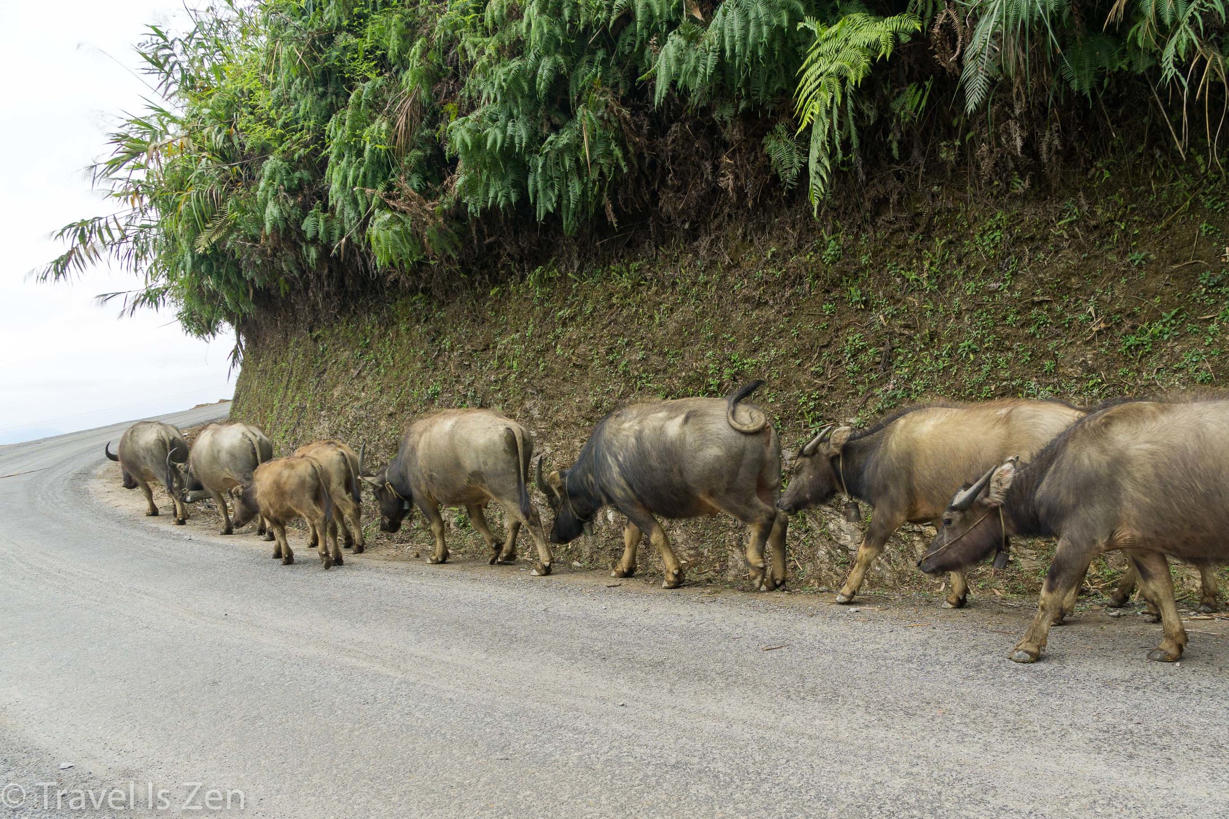 Ha Giang Vietnam