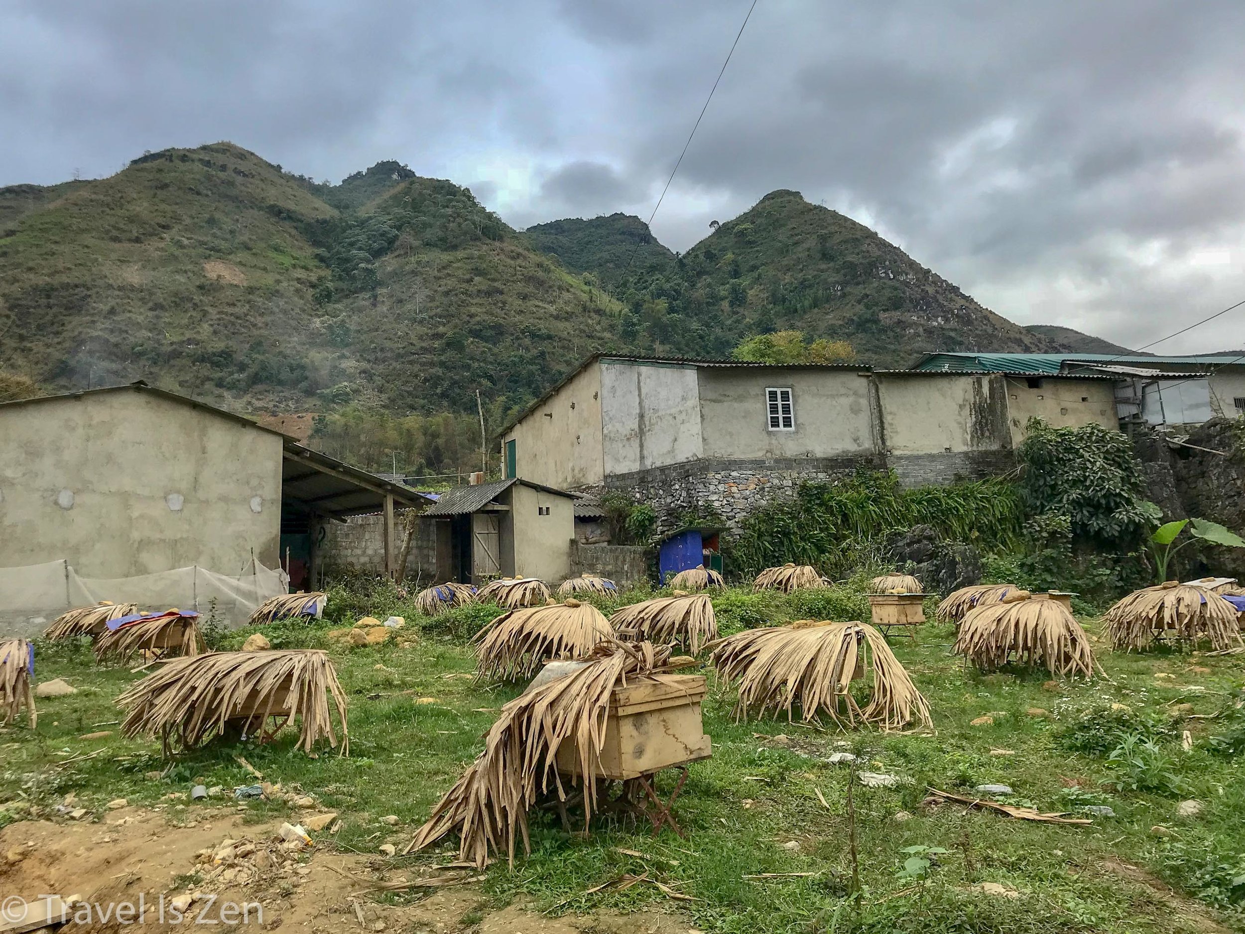 bee hives, northern Vietnam