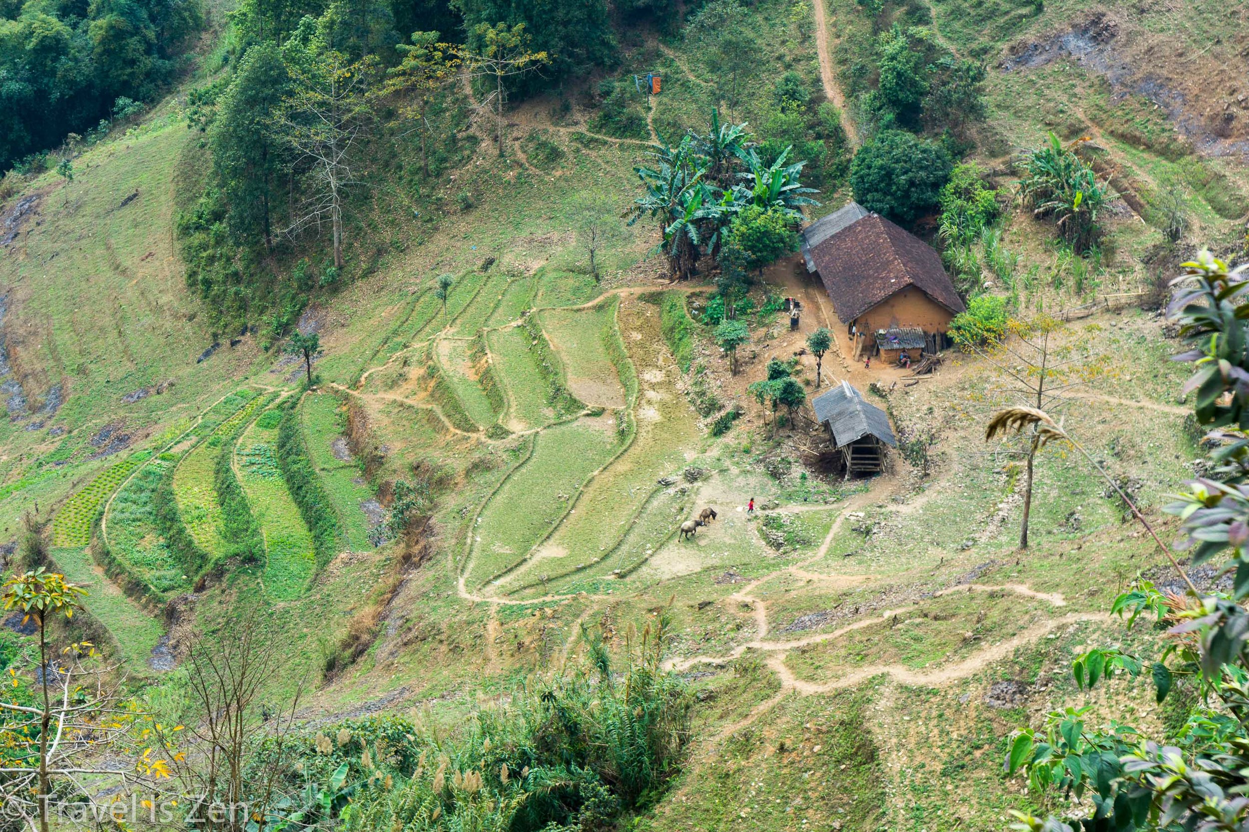 rice fields, Ha Giang Vietnam