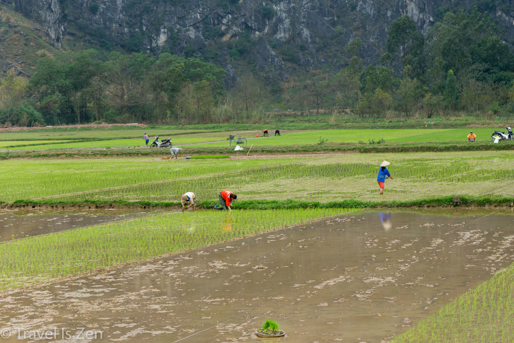 Tam Coc Ninh Binh Vietnam-44.jpg