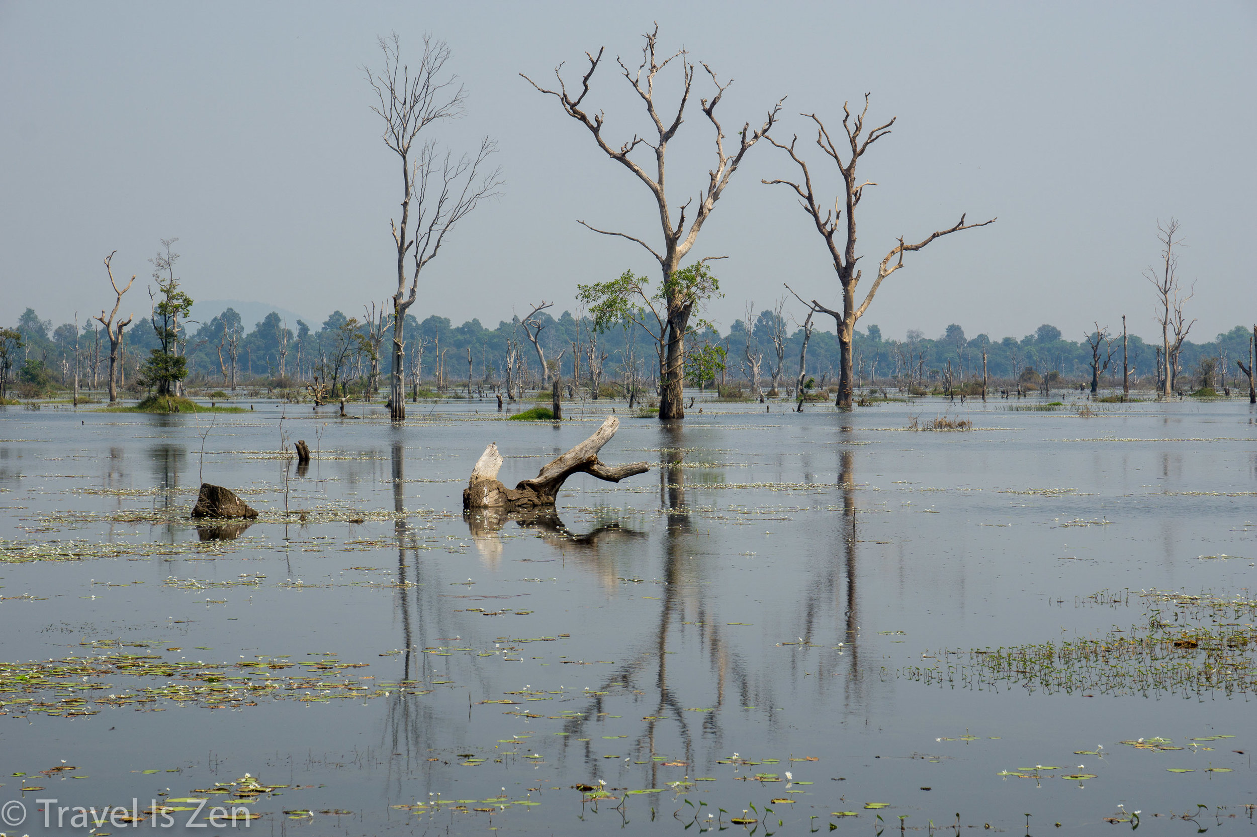 Angkor Temples-75.jpg