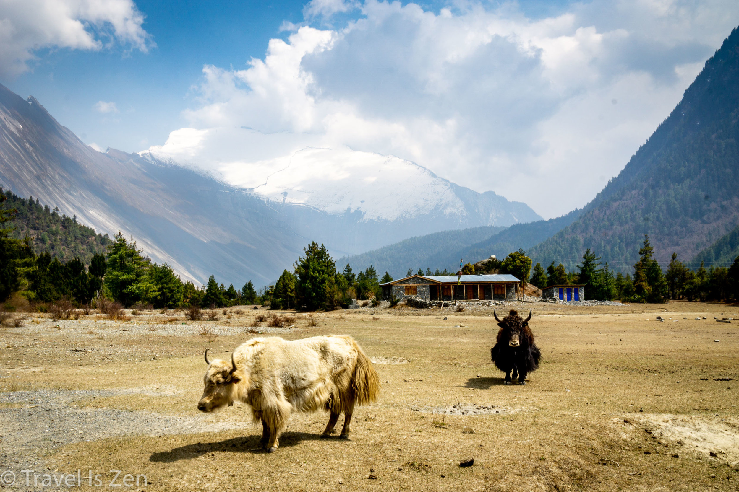 Annapurna Circuit-30.jpg