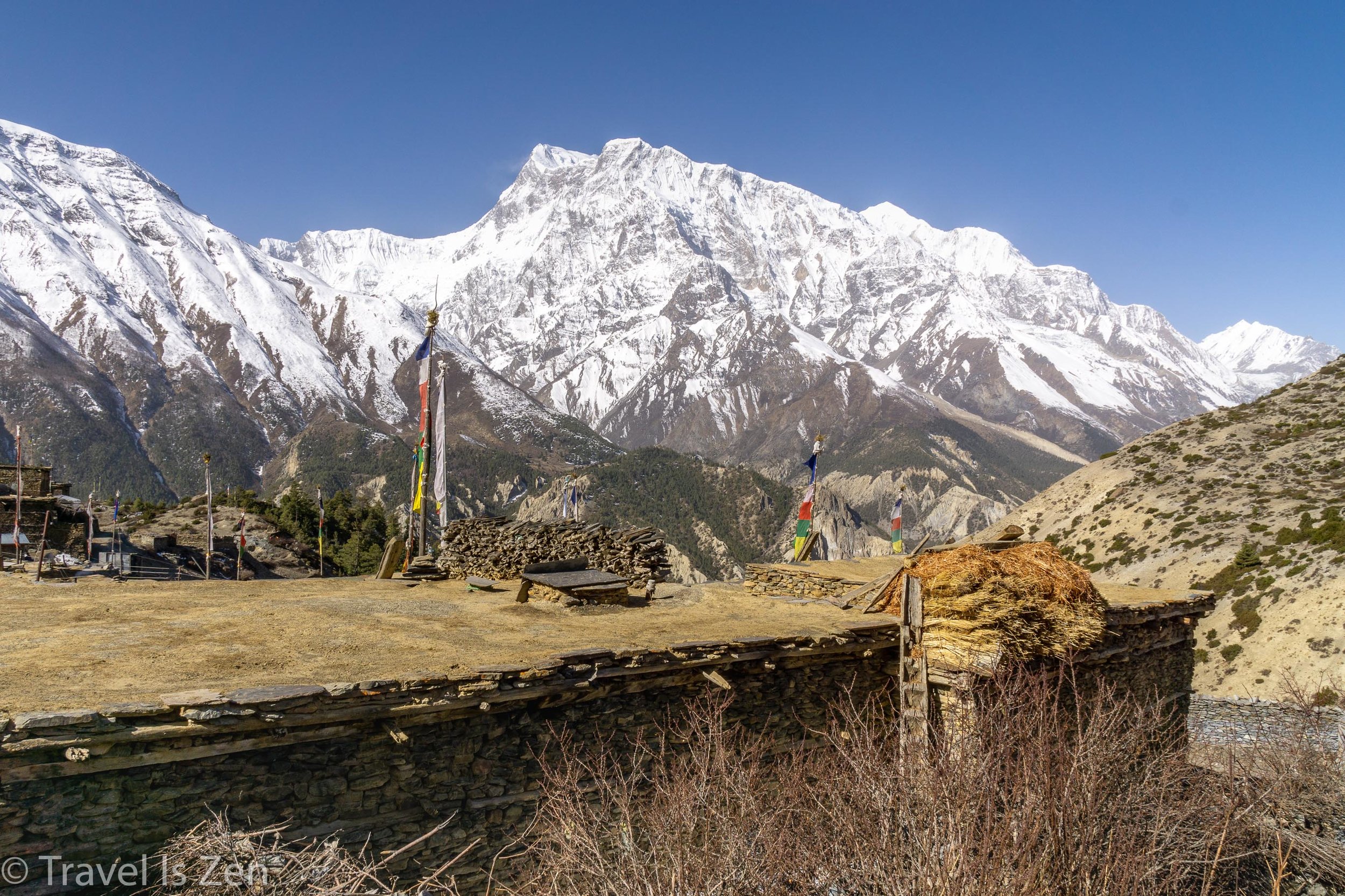 Annapurna Circuit-52.jpg