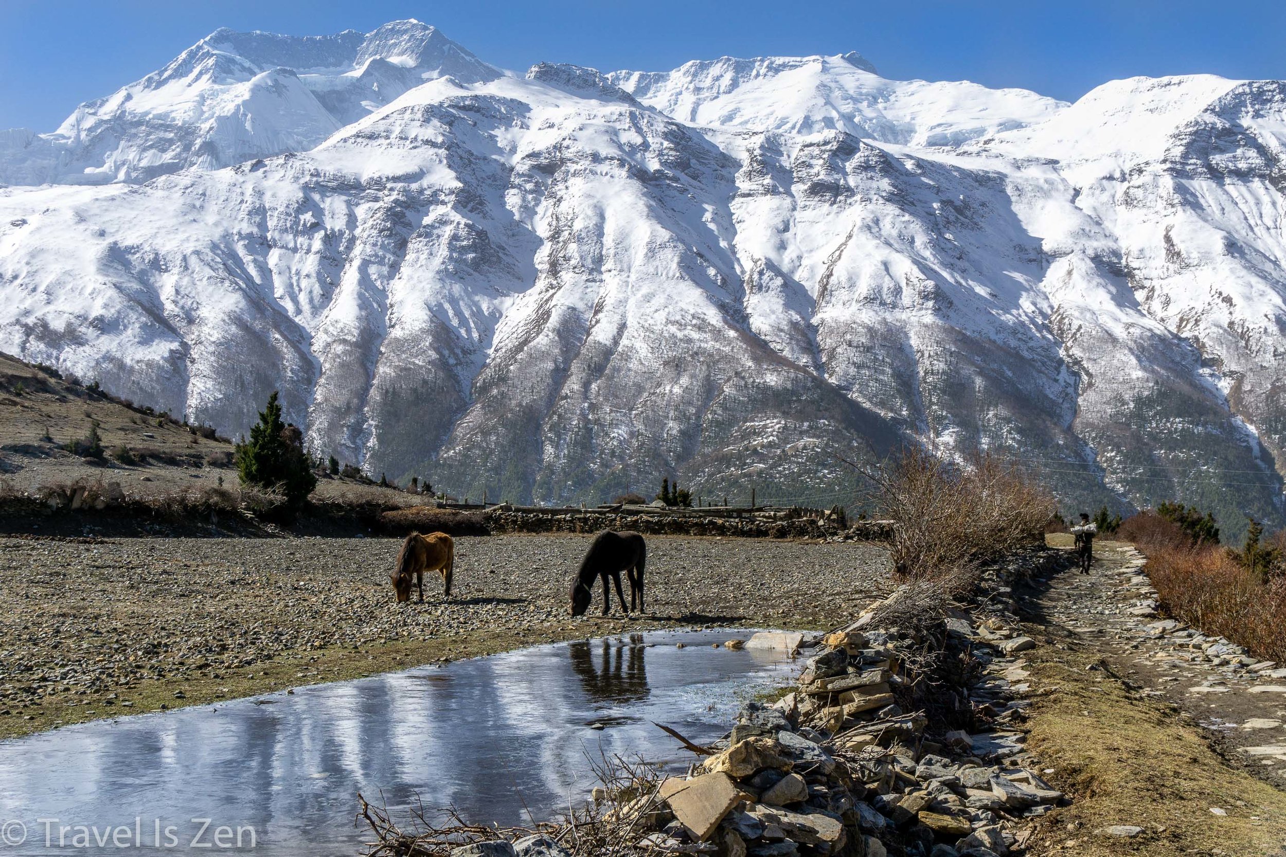 Annapurna Circuit-54.jpg