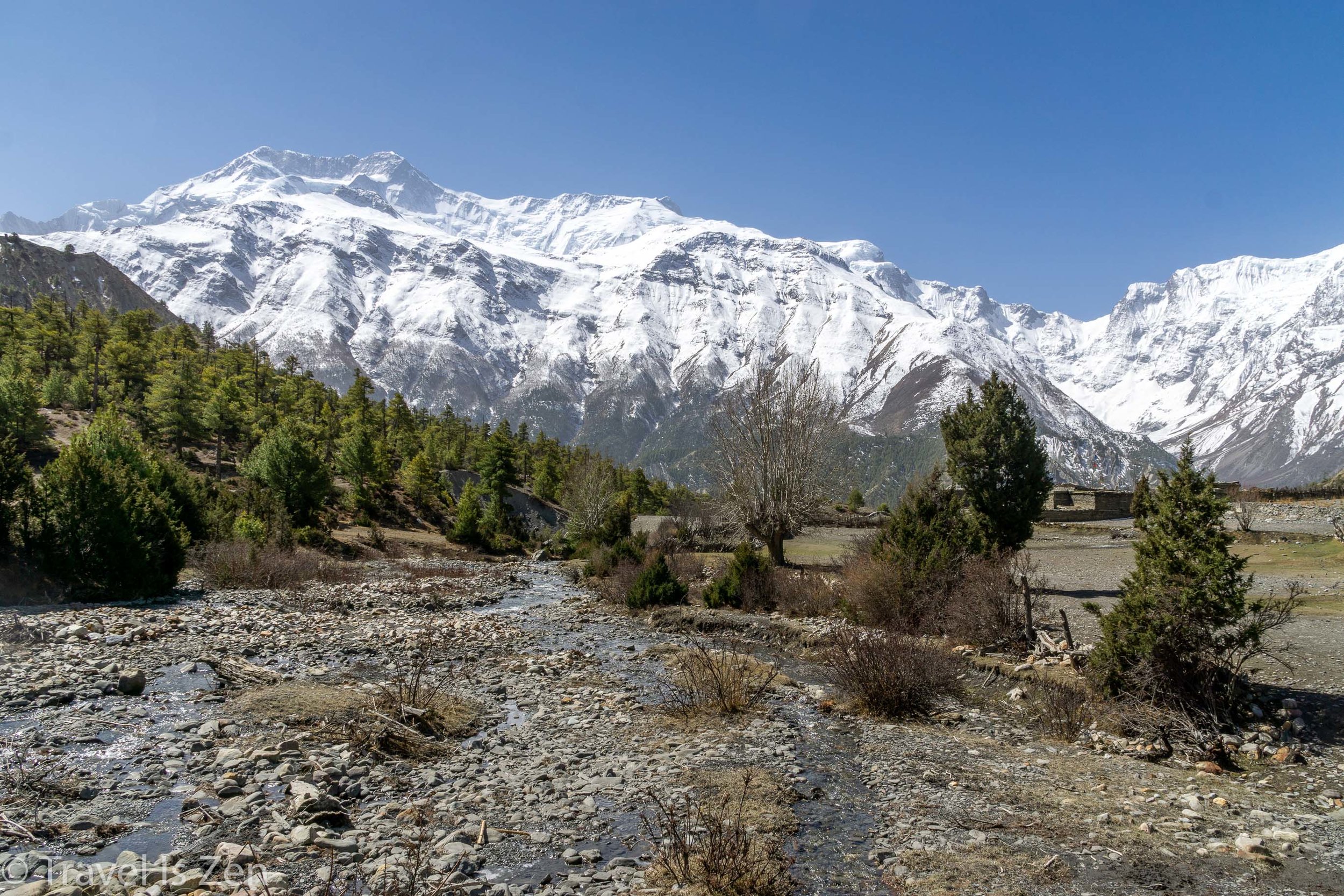 Annapurna Circuit-60.jpg