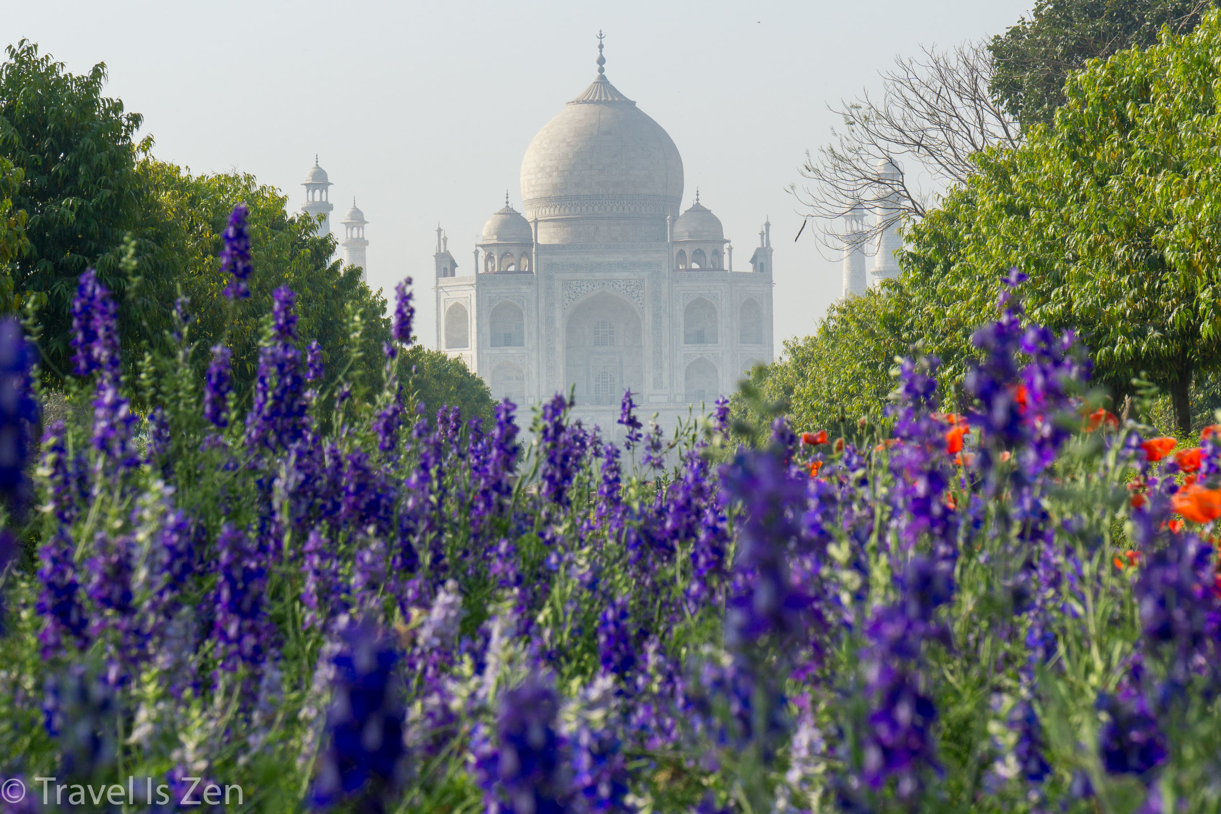 Agra-13.jpg