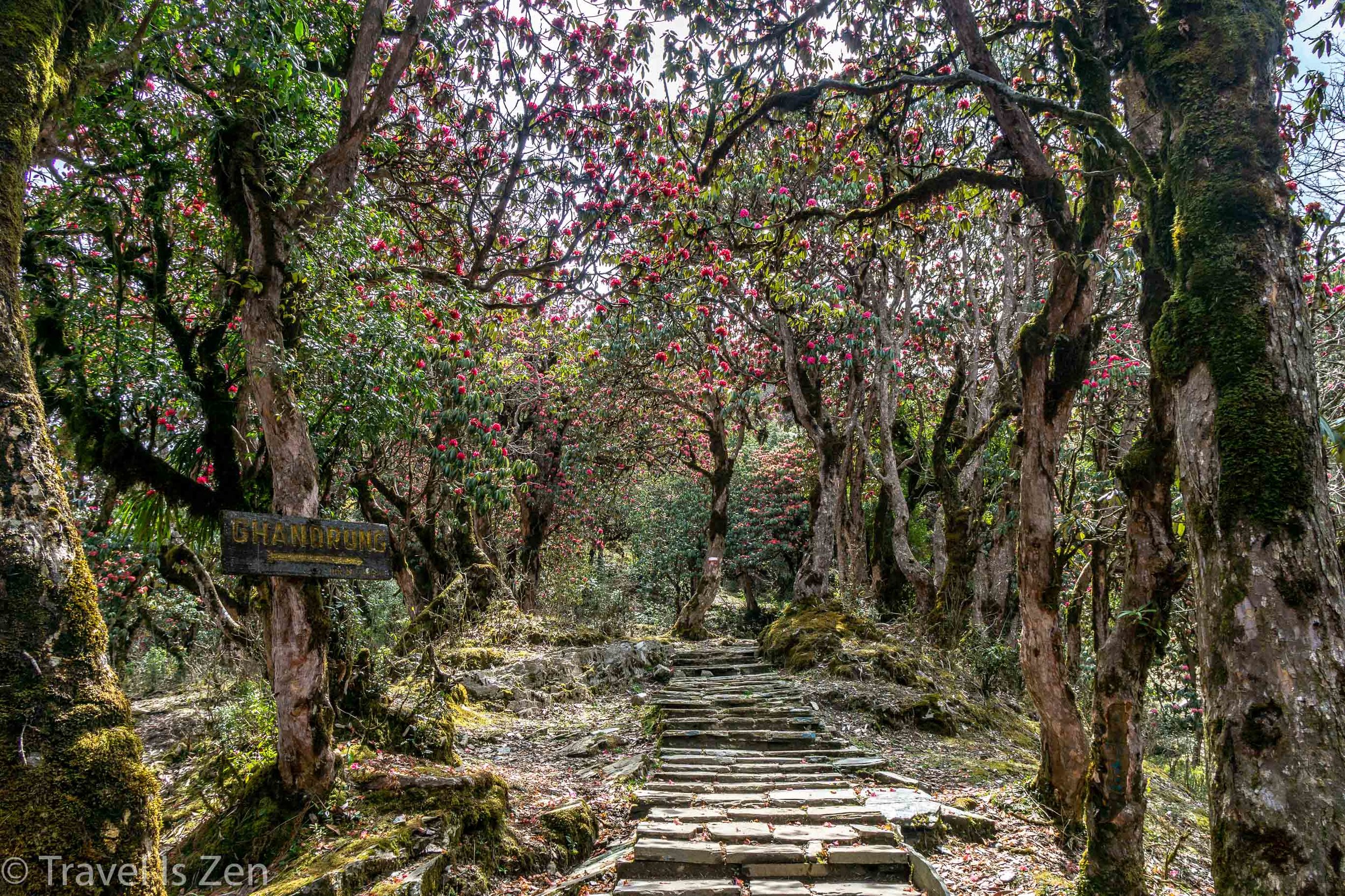 Annapurna Circuit-141.jpg