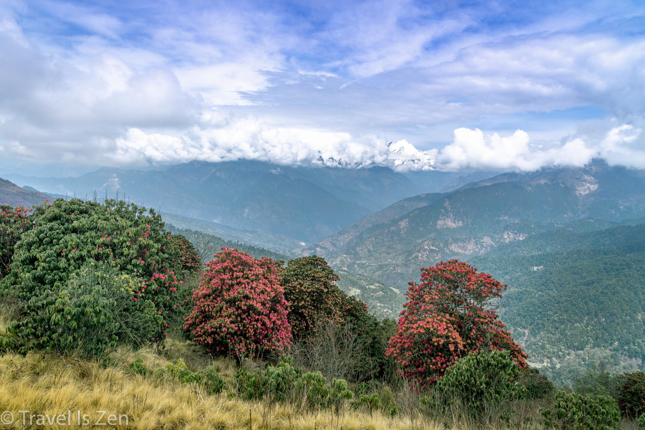 Annapurna Circuit-144.jpg