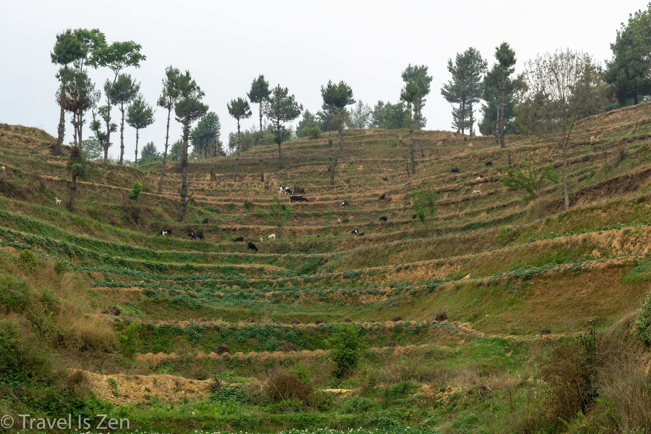 chandragiri chitlang-24.jpg