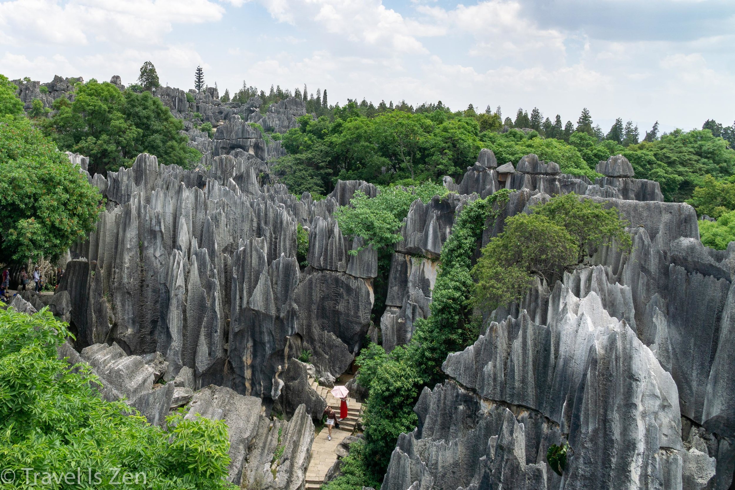 Stone Forest-2.jpg