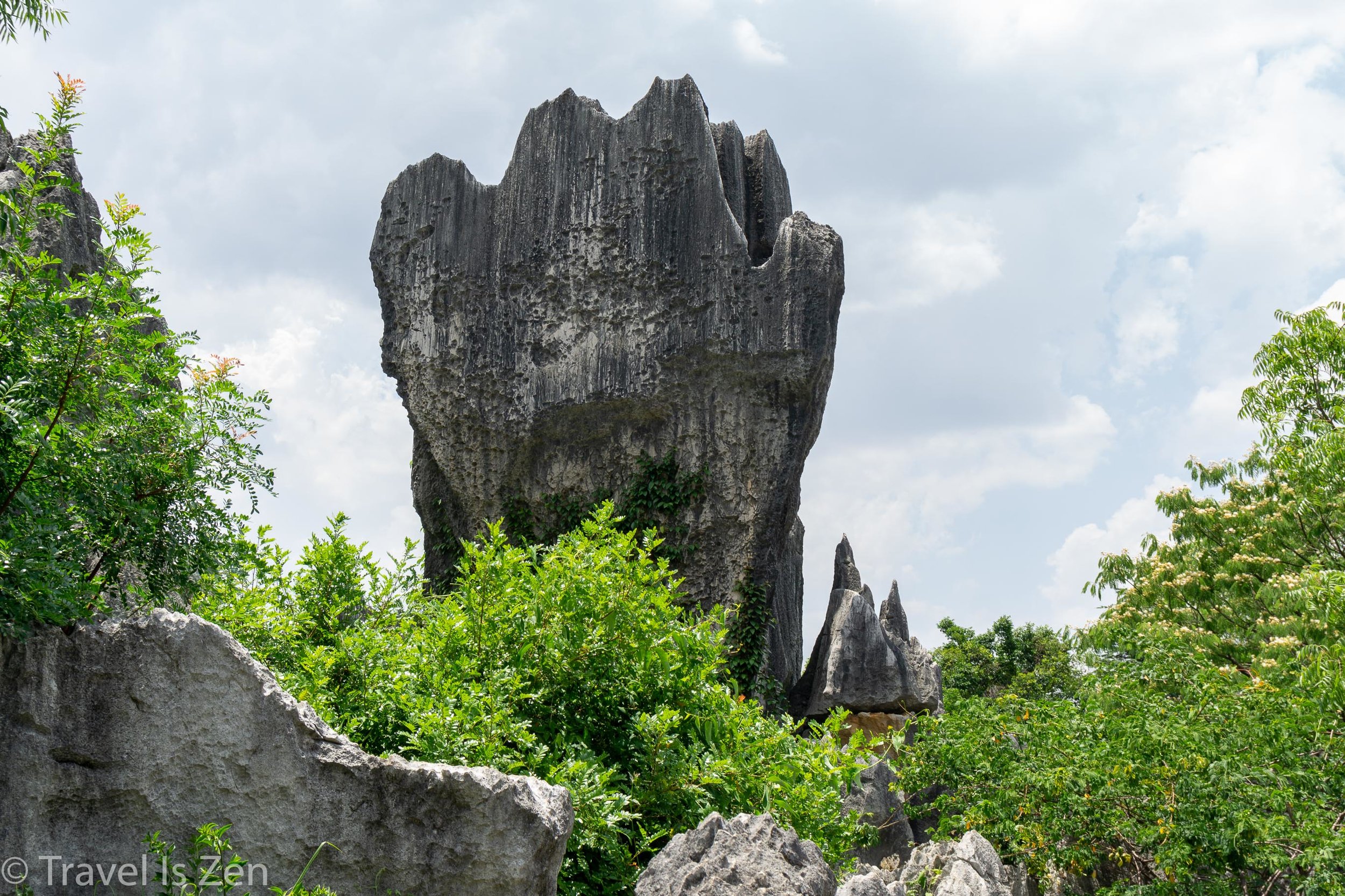 Stone Forest-4.jpg