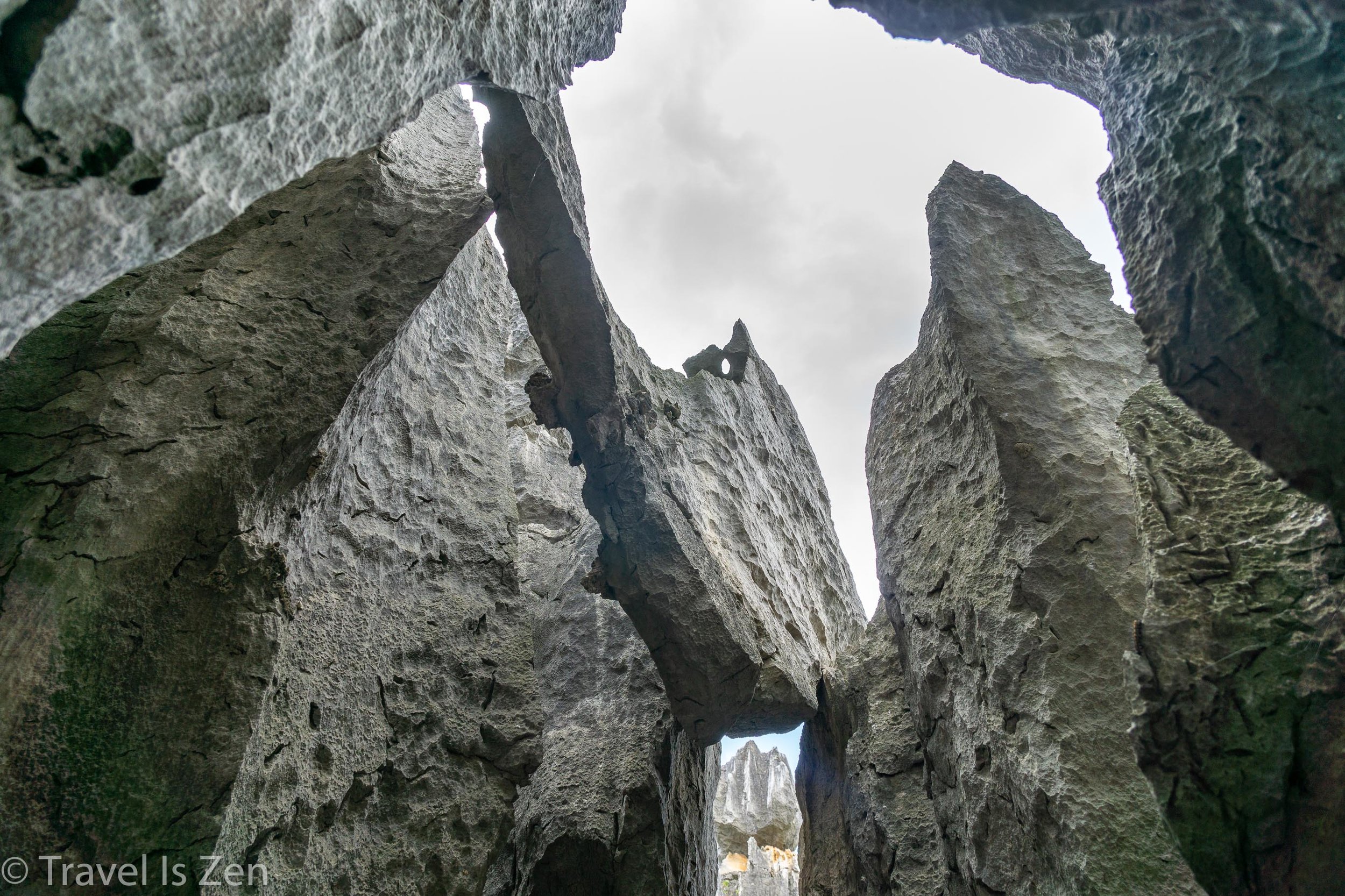 Stone Forest-6.jpg