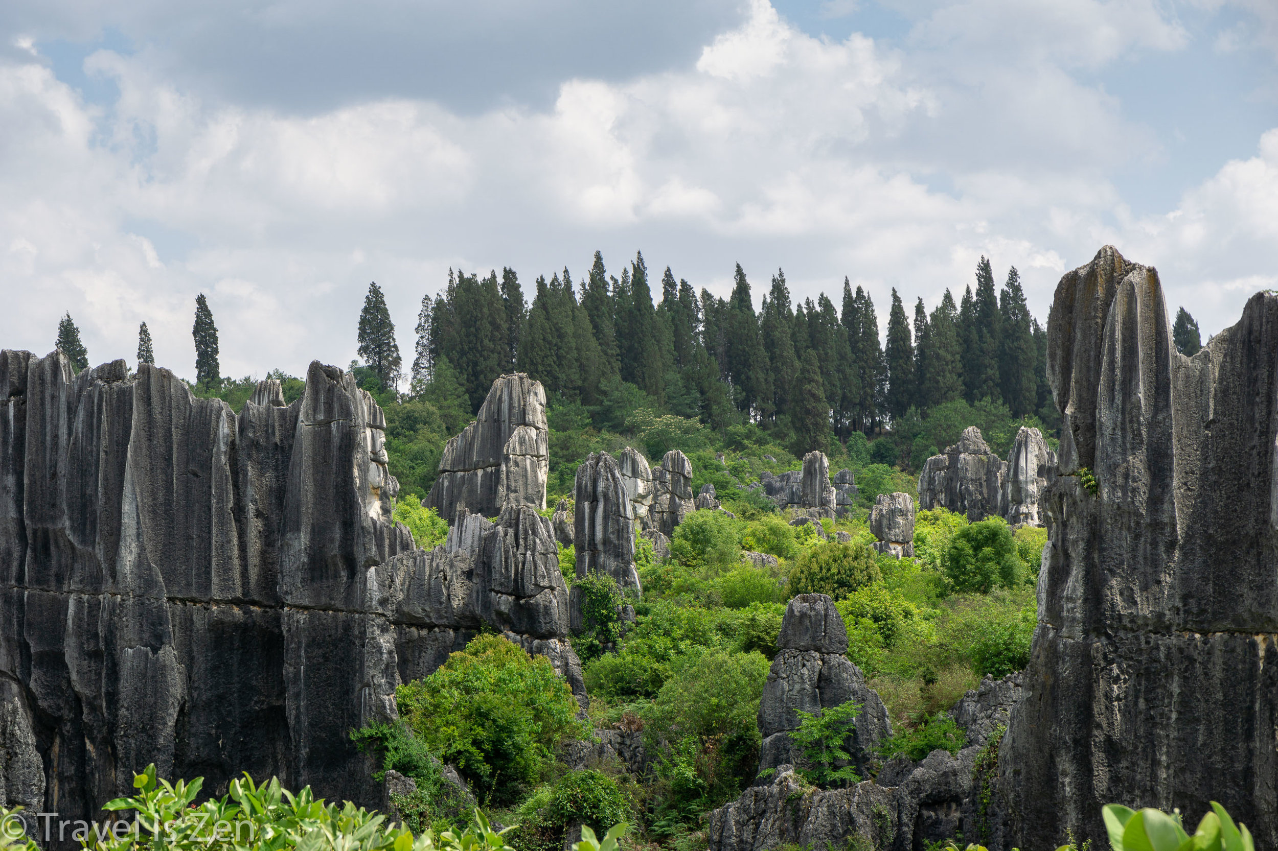 Stone Forest-9.jpg