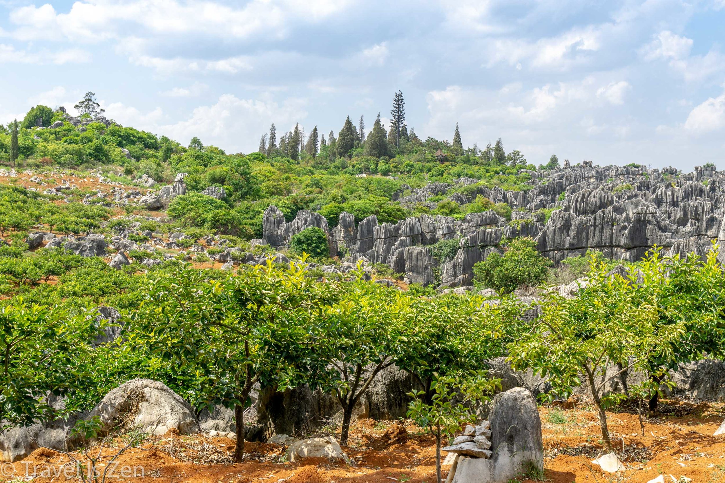 Stone Forest 石林
