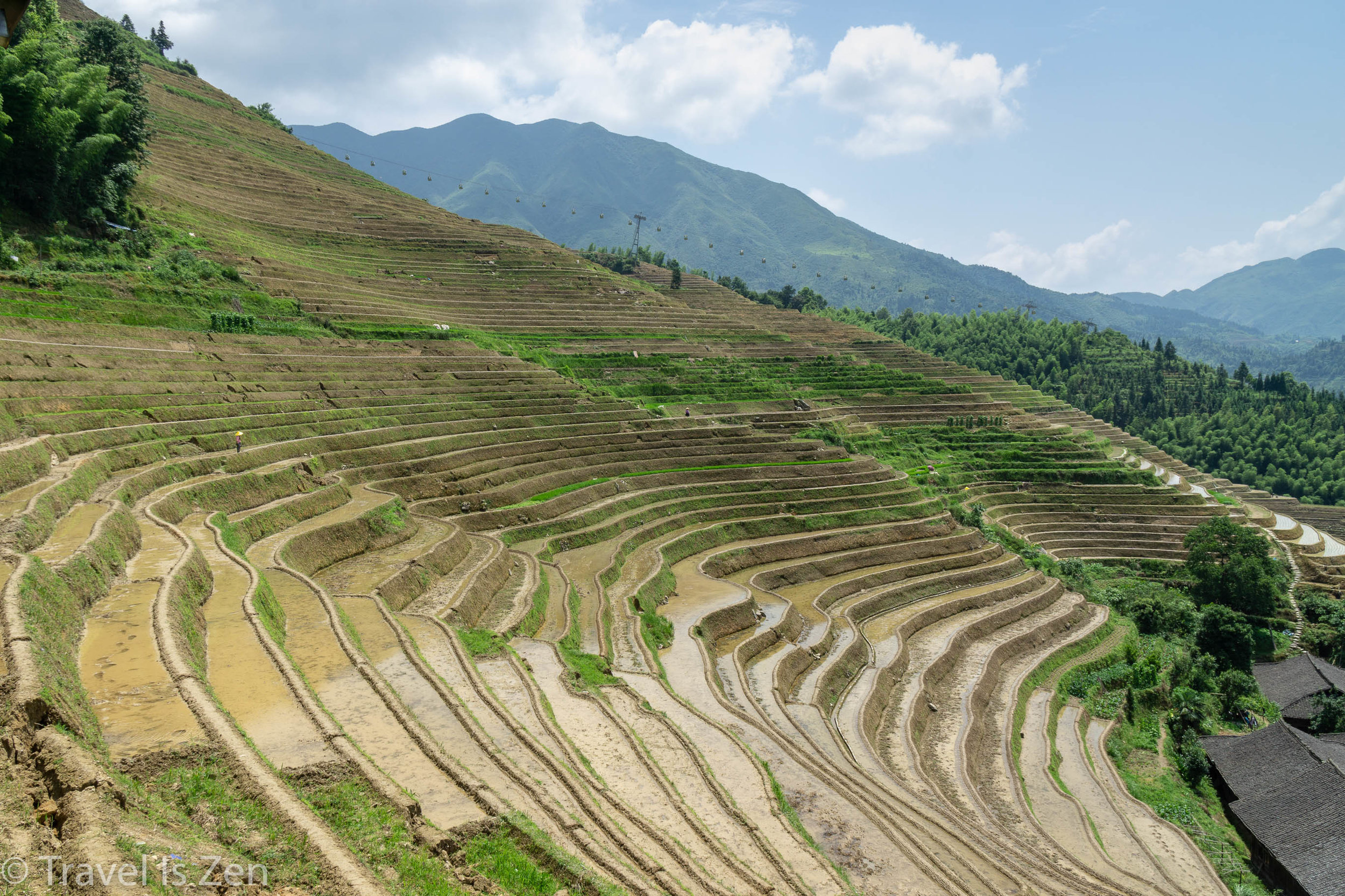 Longji Rice Terrace-1.jpg