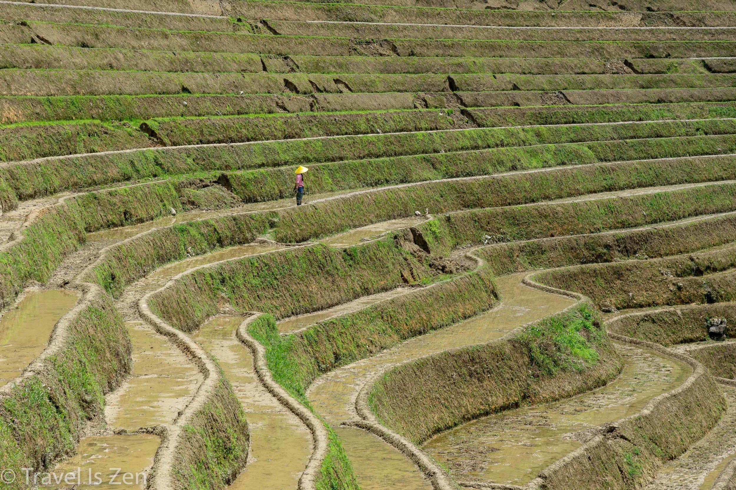 Longji Rice Terrace-2.jpg