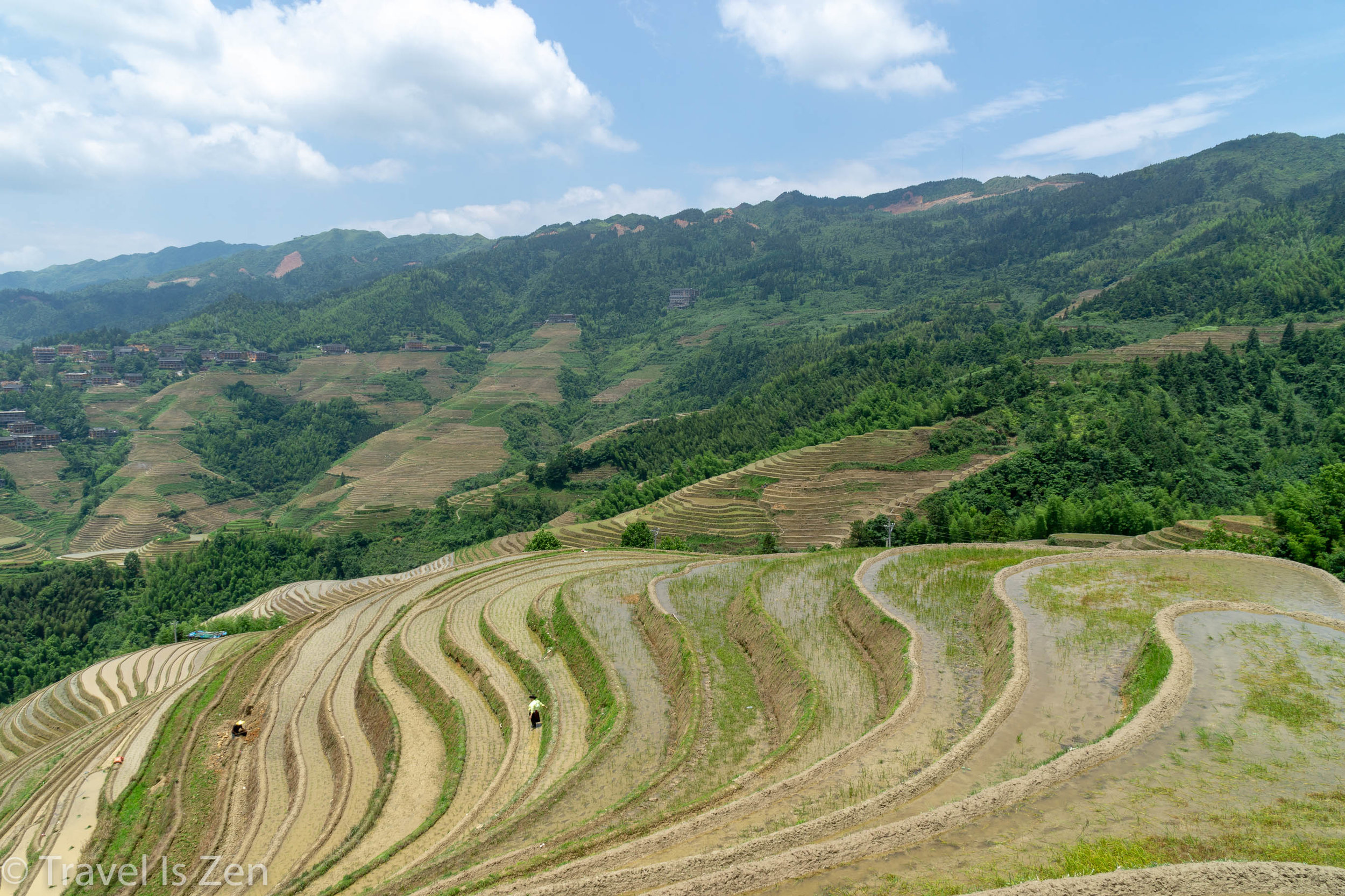 Longji Rice Terrace-8.jpg
