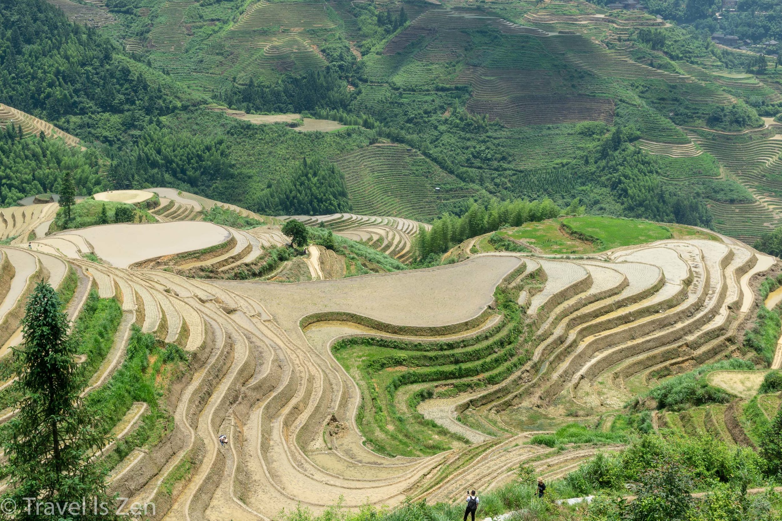 Longji Rice Terrace-15.jpg