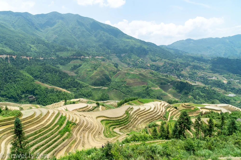 Forest Bathing at Longji Rice Terrace 龙脊梯田, Guangxi Province, China ...