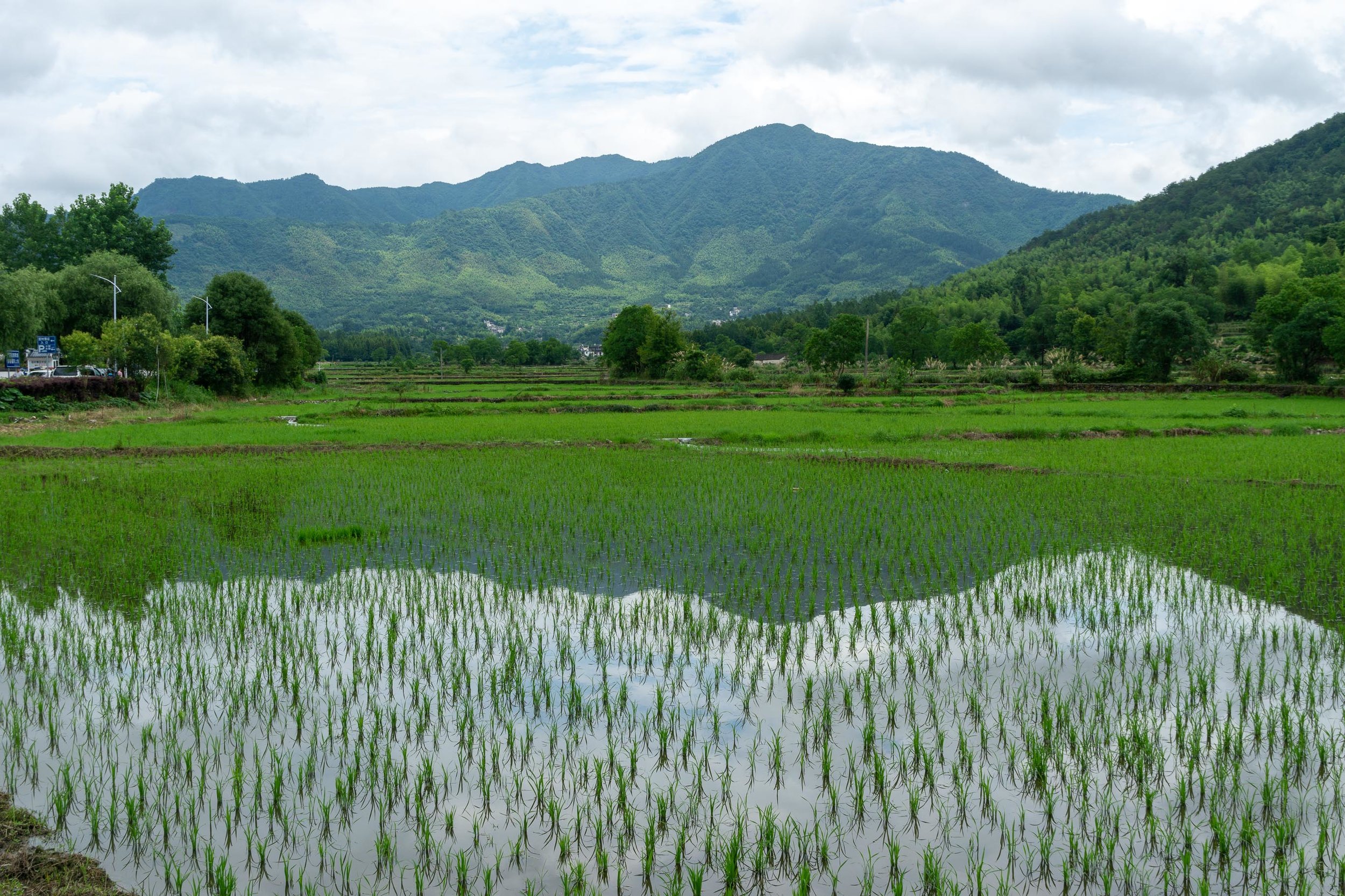 hongcun-1.jpg