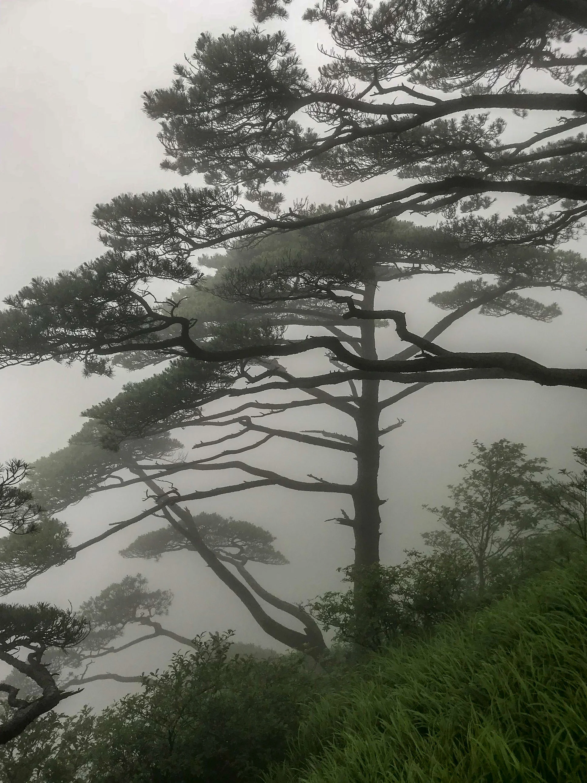 huangshan-17.jpg