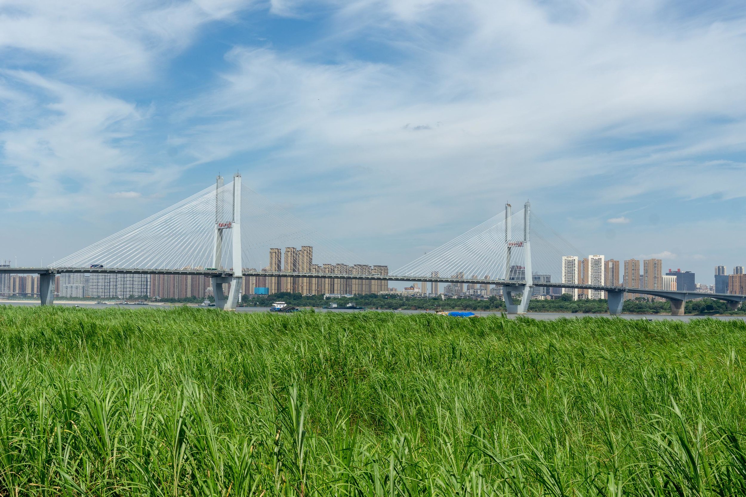 Wuhan-80.jpg