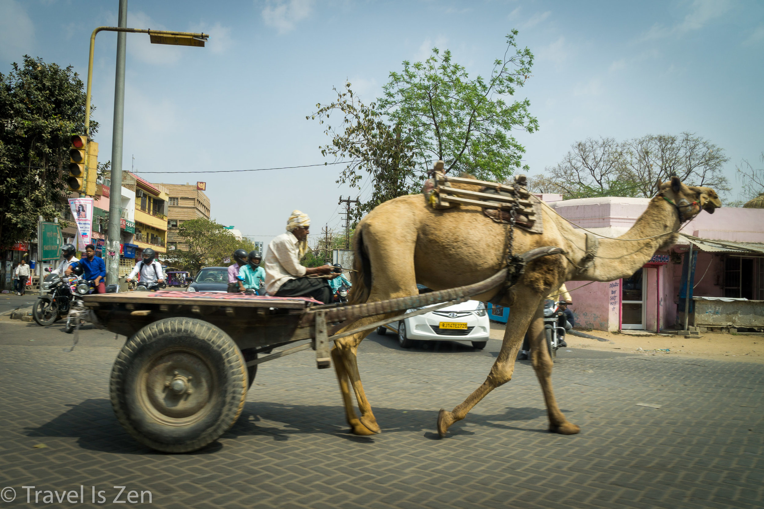 Jaipur-14.jpg