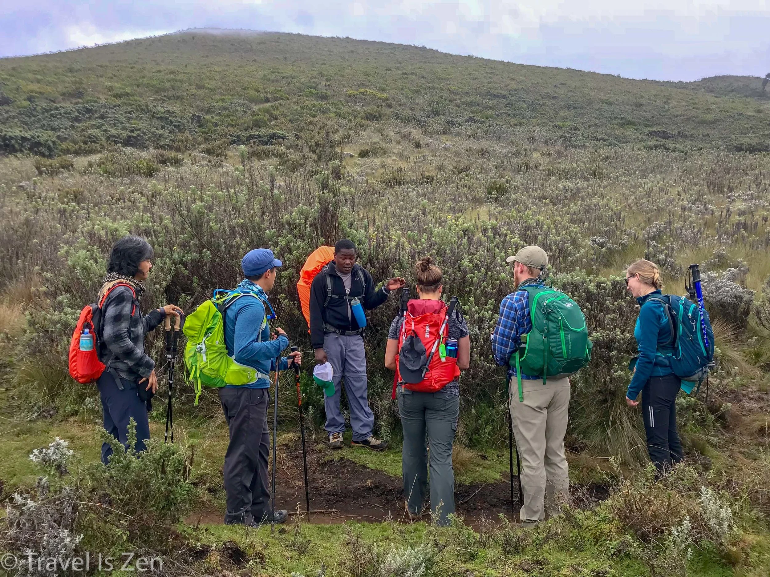 Getting schooled on local floral and fauna