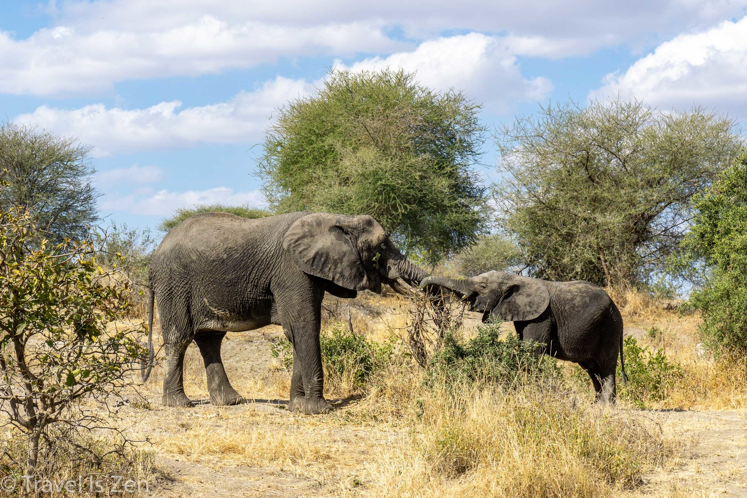 Tanzania Safari-2.jpg