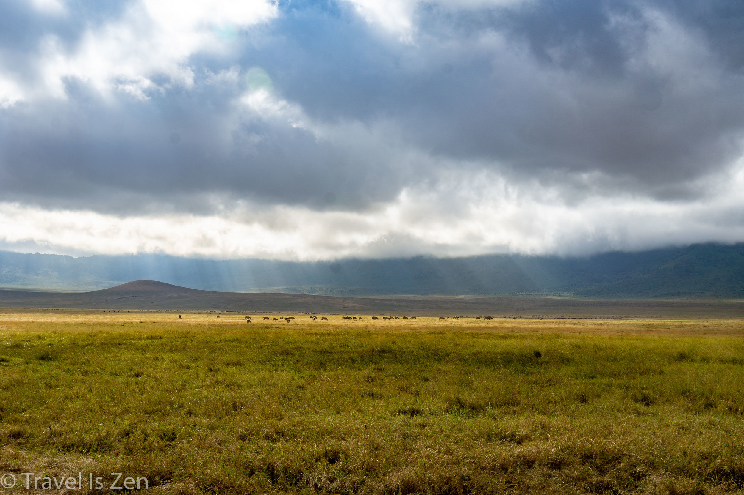 Tanzania Safari-23.jpg