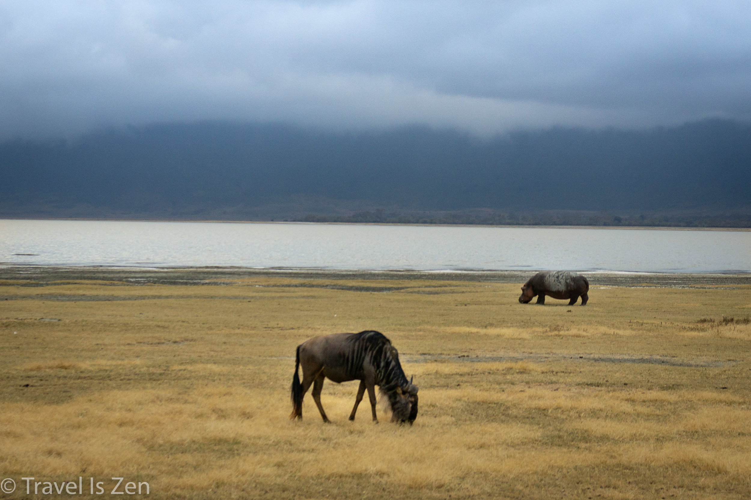 Tanzania Safari-22.jpg