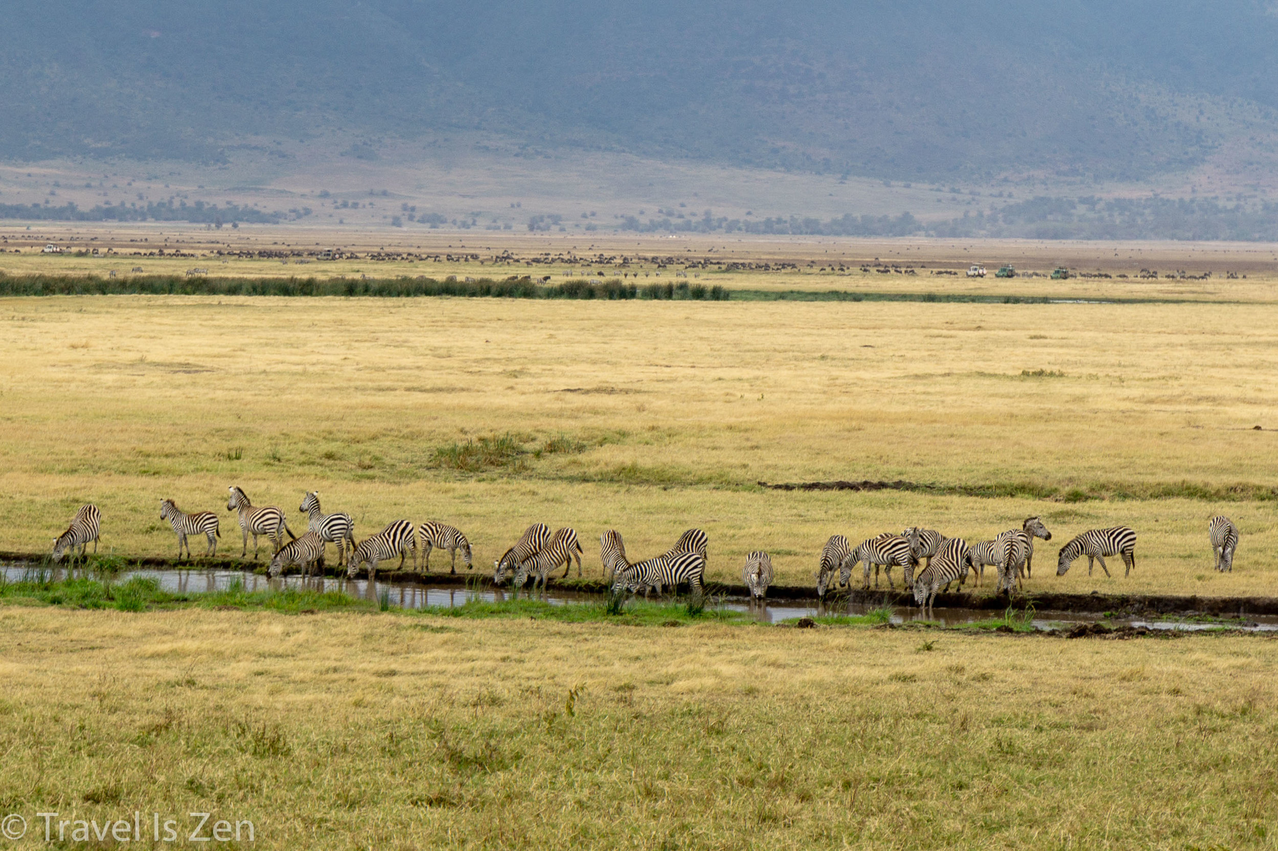 Tanzania Safari-26.jpg