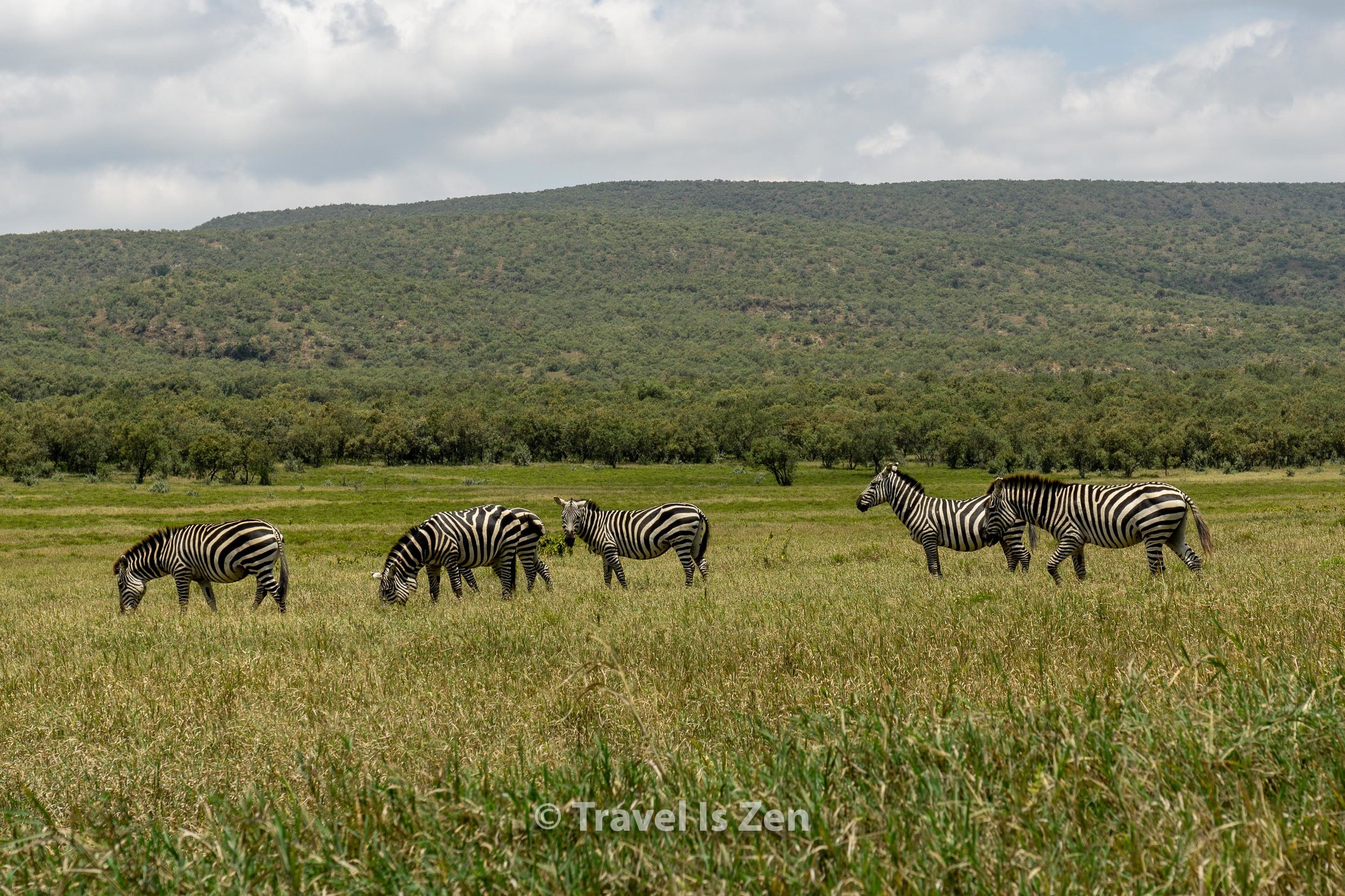 Hells Gate Kenya-9.jpg